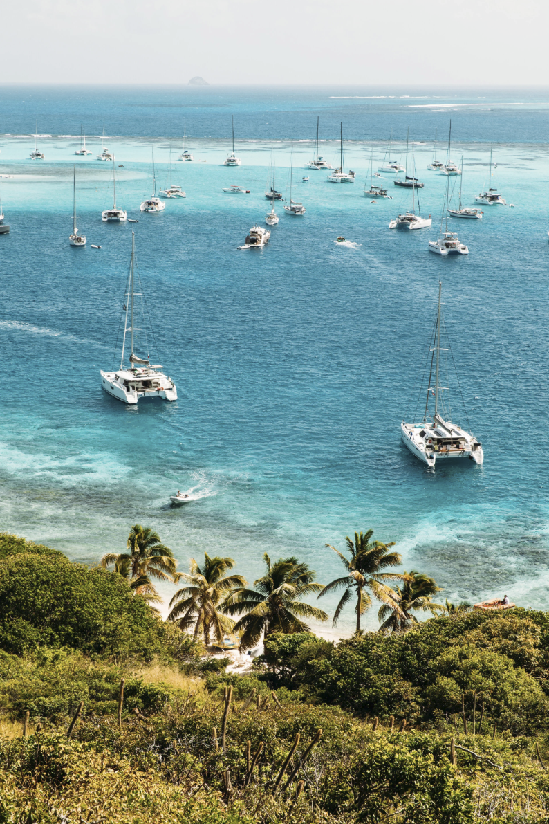 Screenshot 2026-01-21 at 11.08.49 AM.png