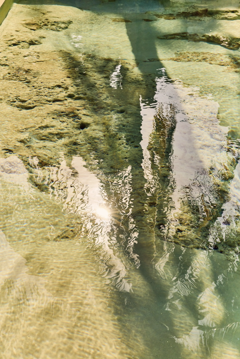 Screenshot 2026-01-21 at 10.59.49 AM.png