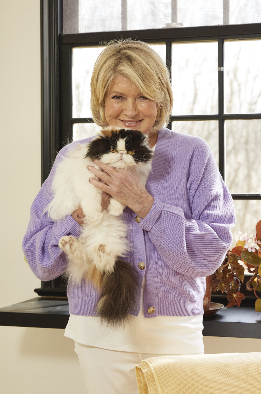 Screenshot 2026-01-21 at 2.06.45 PM.png