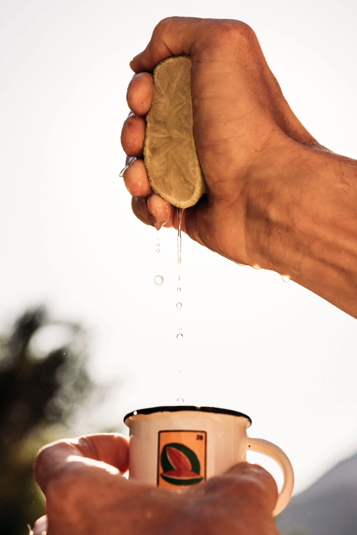 Screenshot 2026-01-23 at 11.43.52 AM.png