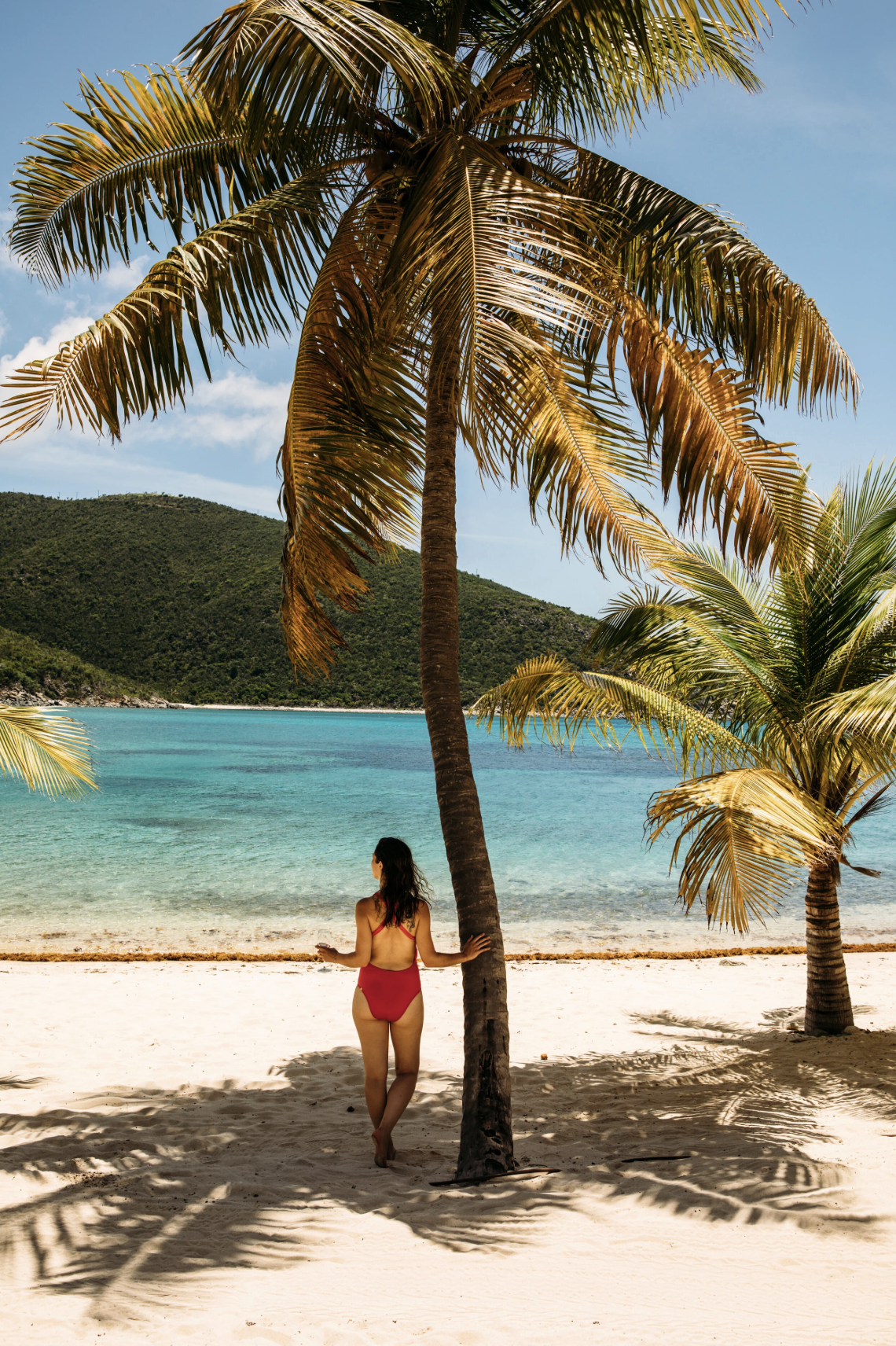 Screenshot 2026-01-23 at 11.51.11 AM.png