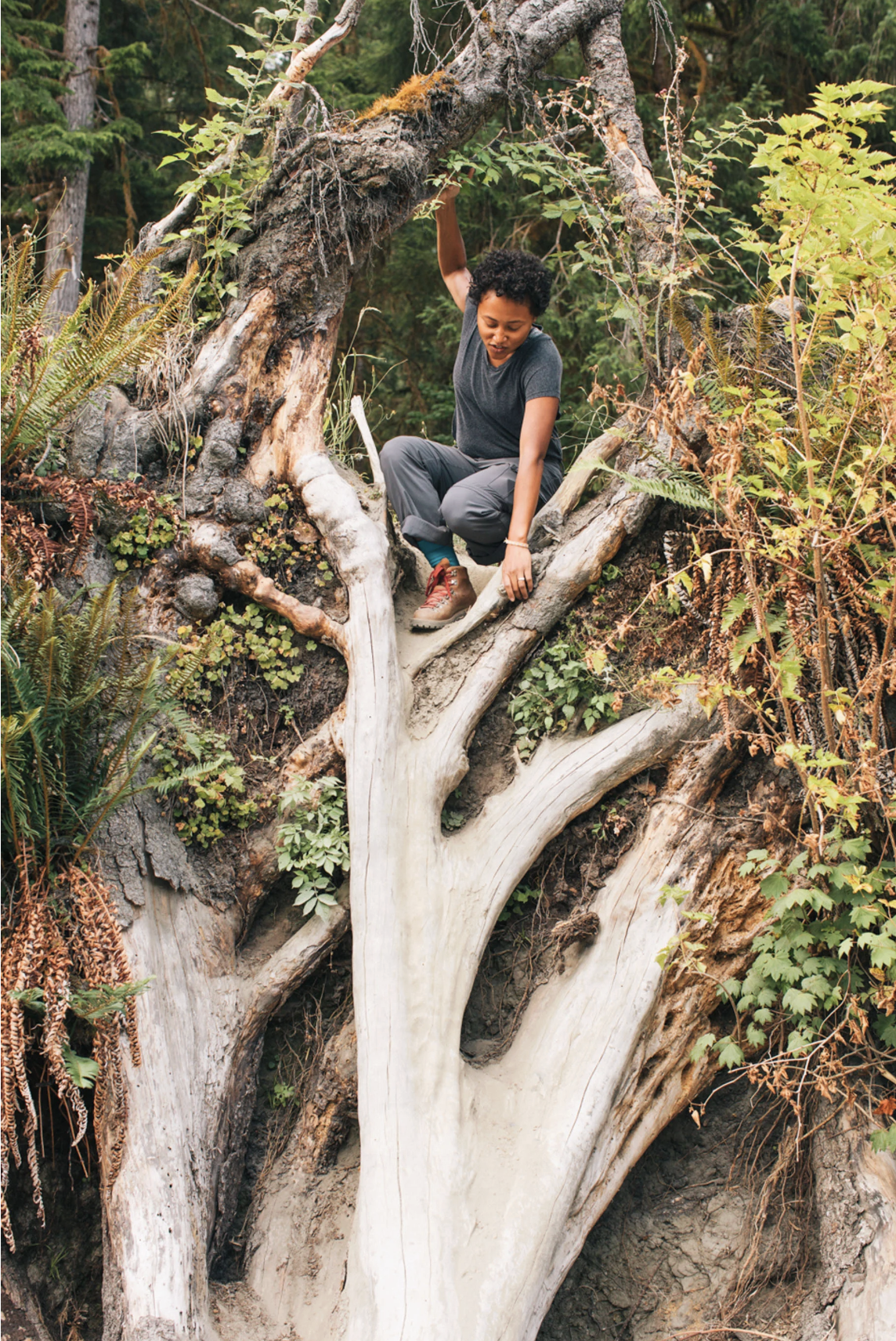 Screenshot 2026-01-23 at 12.11.00 PM.png