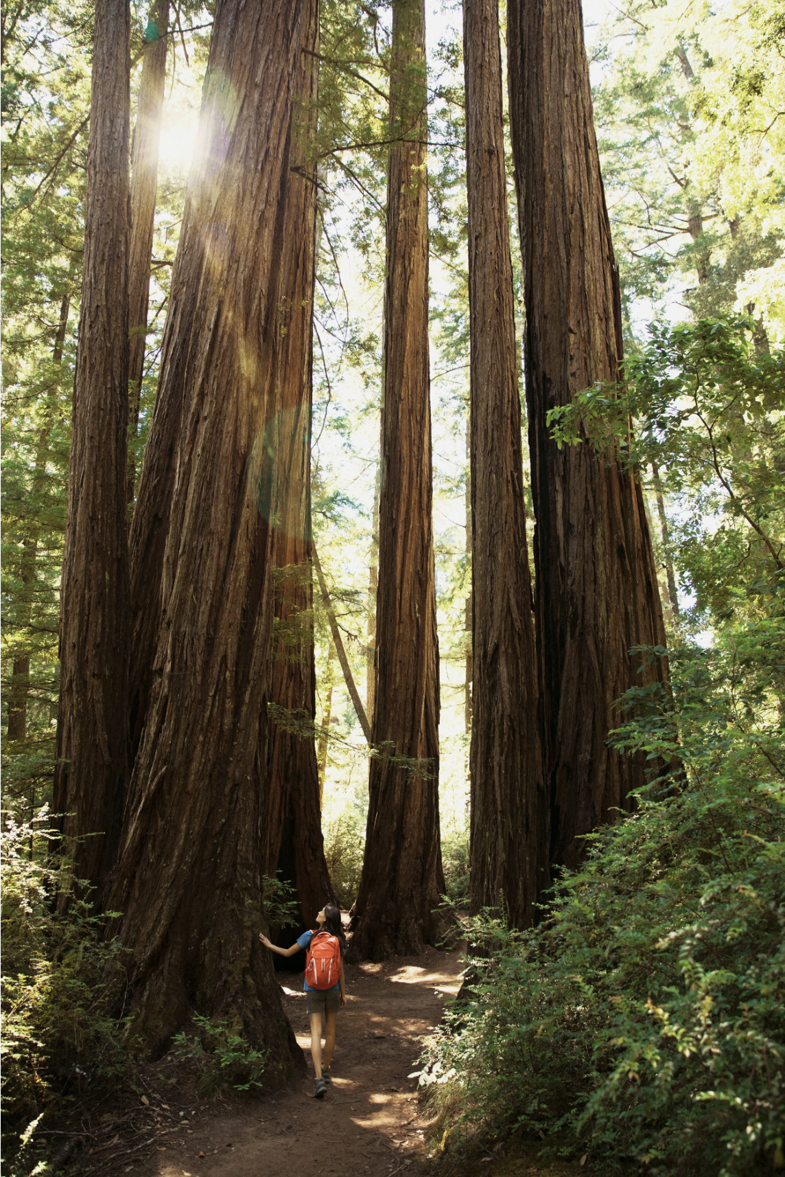 Screenshot 2026-01-23 at 12.02.39 PM.png