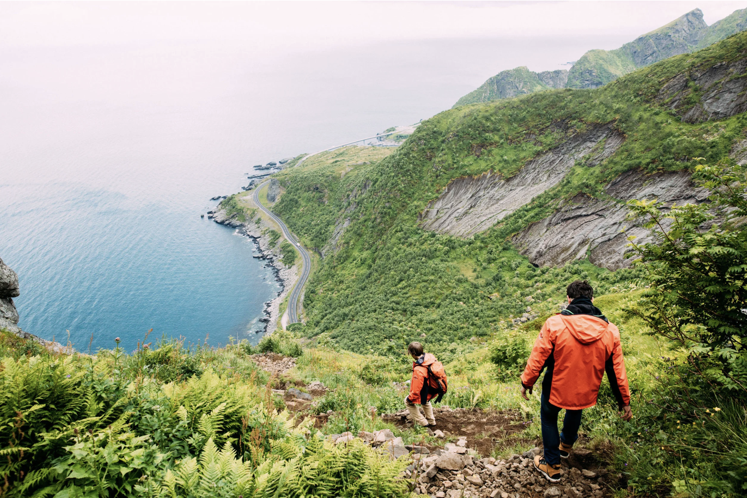 Screenshot 2026-01-23 at 12.14.47 PM.png