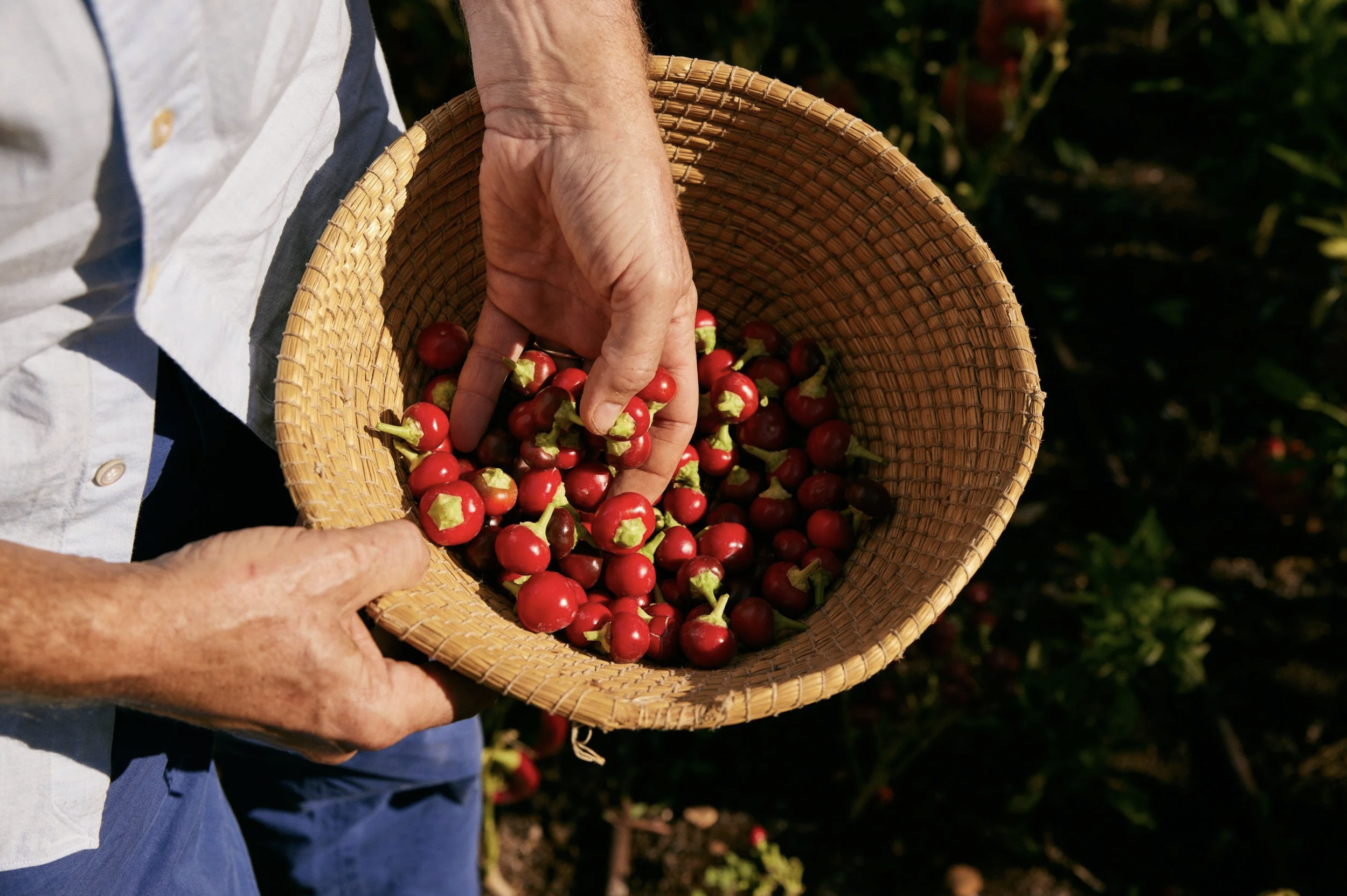 Screenshot 2026-03-17 at 9.13.23 AM.png