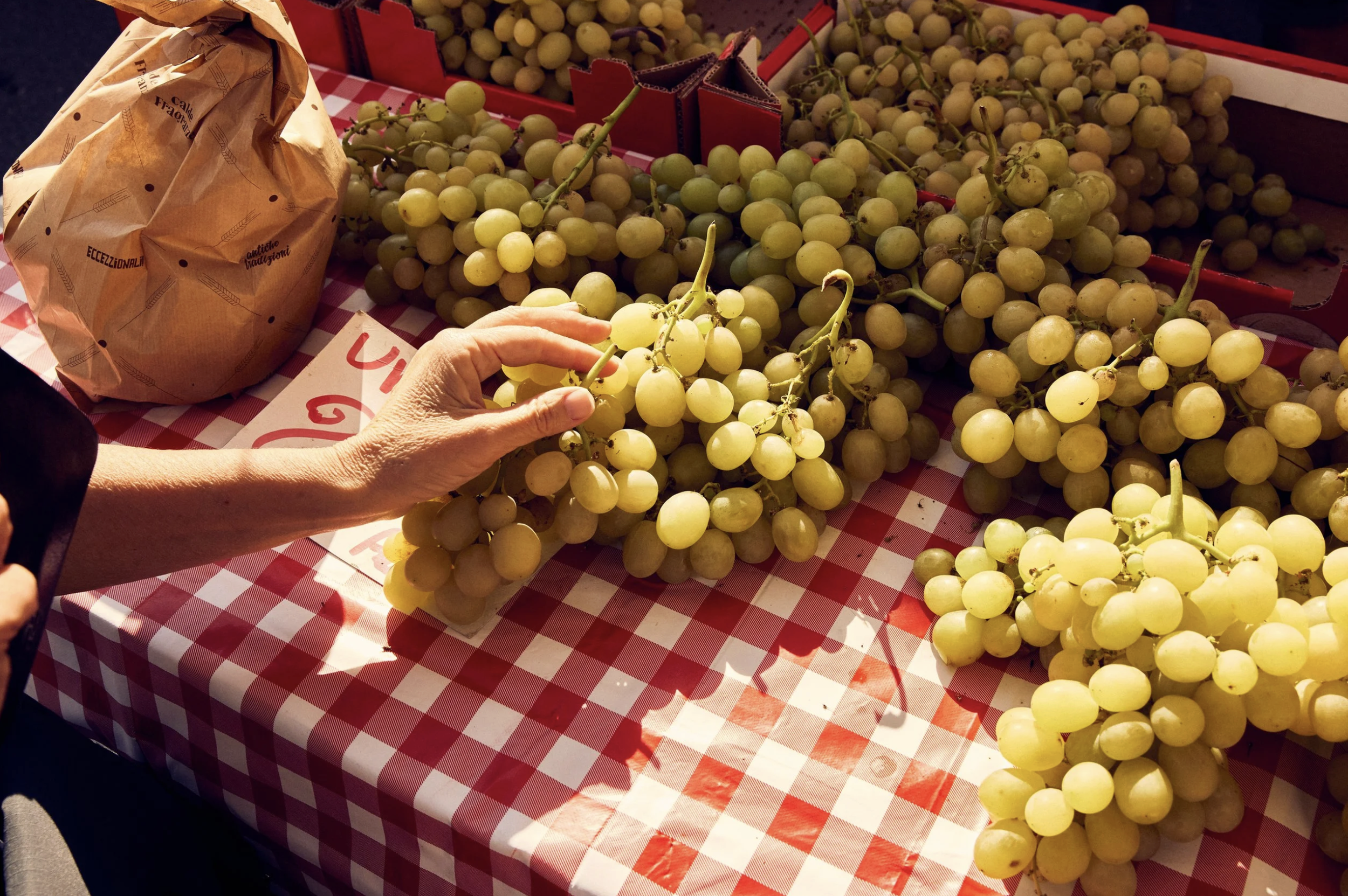 Screenshot 2026-03-17 at 9.11.11 AM.png