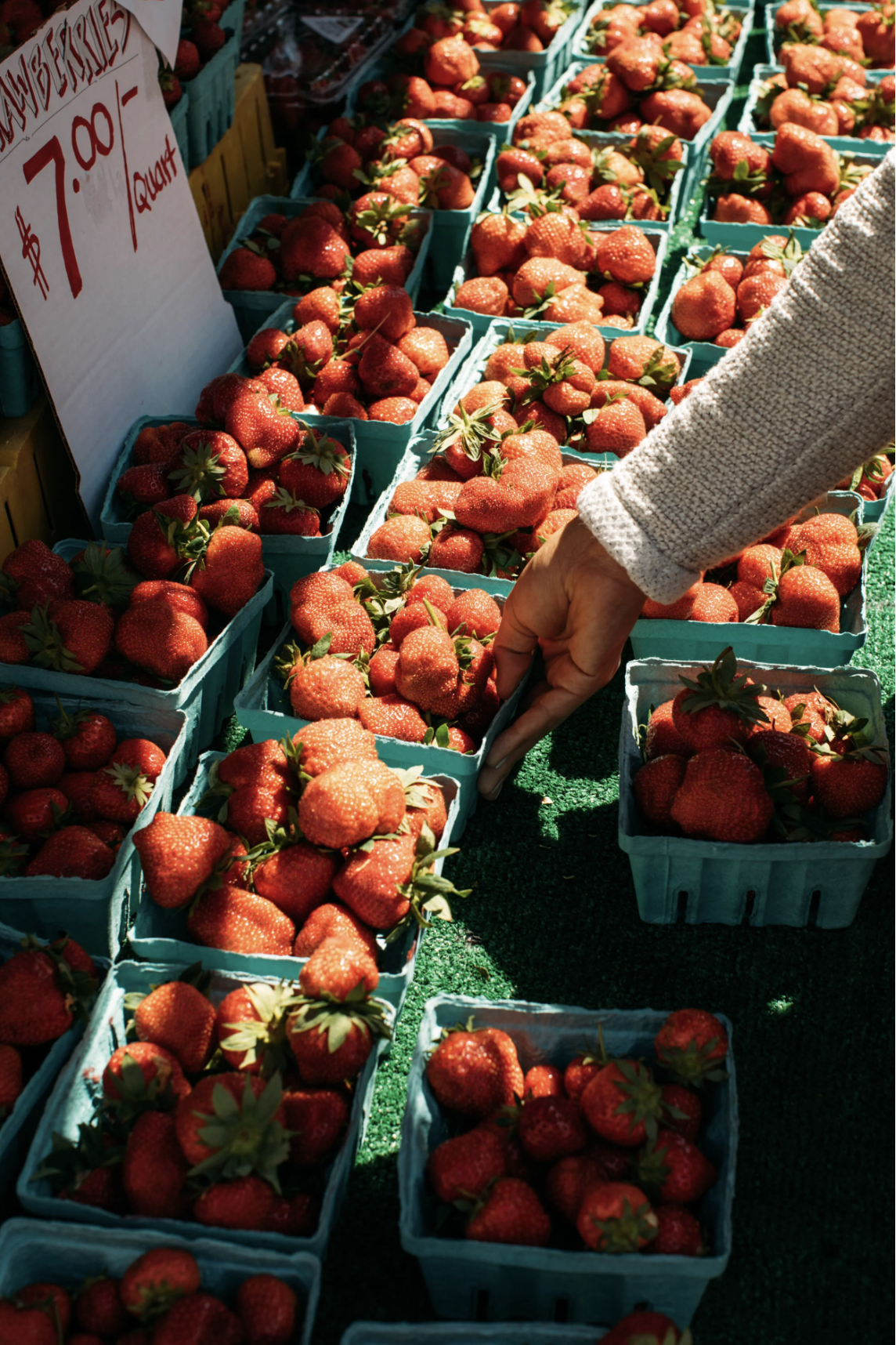 Screenshot 2026-03-17 at 10.53.03 AM.png