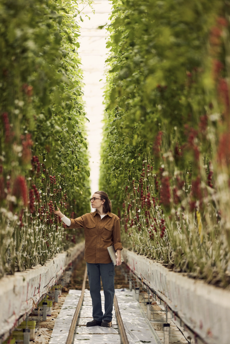 Screenshot 2026-03-26 at 1.13.14 PM.png