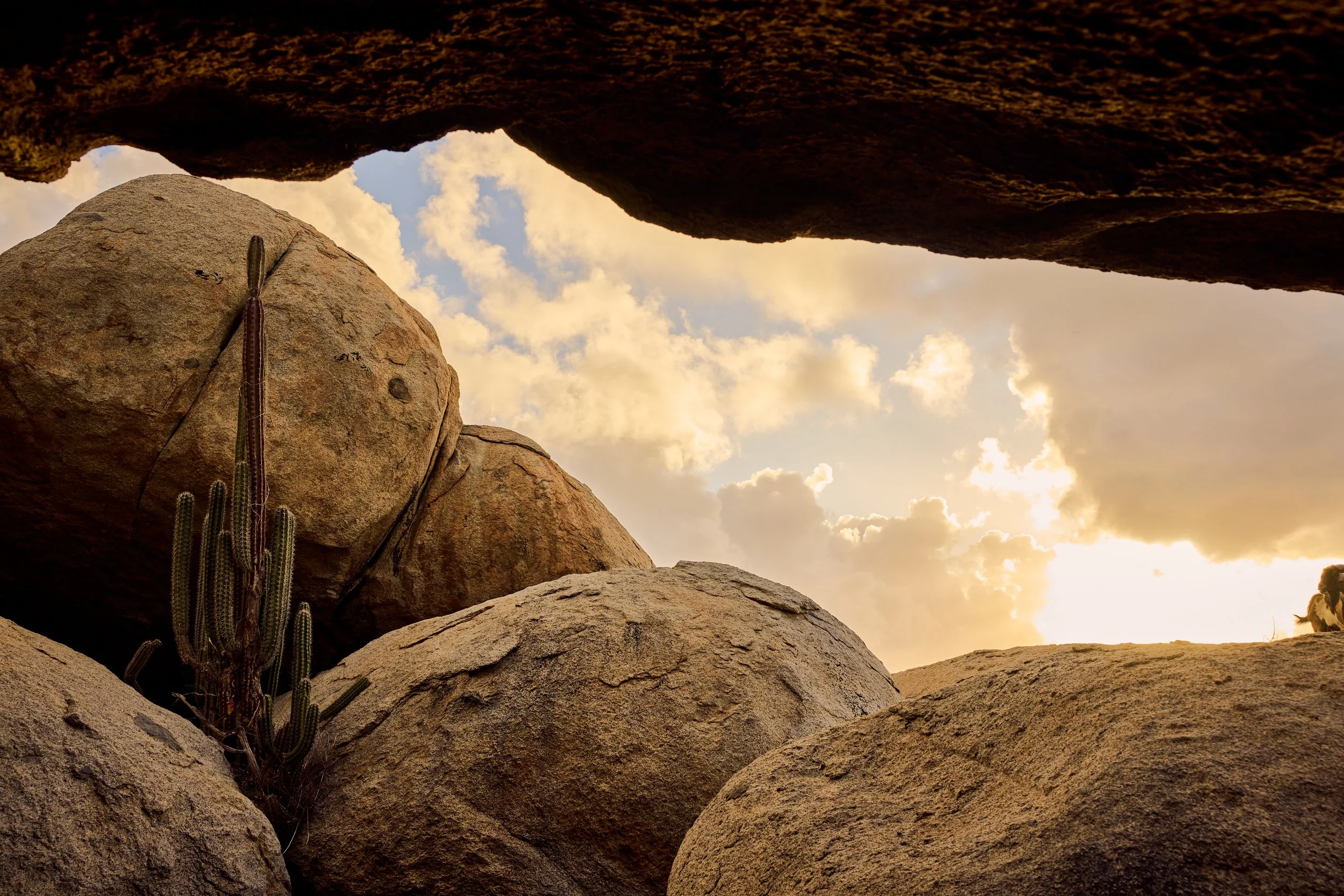 _LANDSCAPES_076.jpg