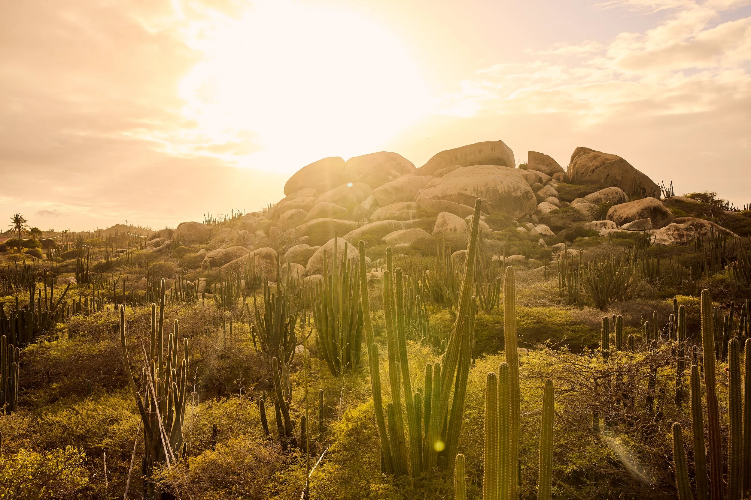 _LANDSCAPES_633.jpg