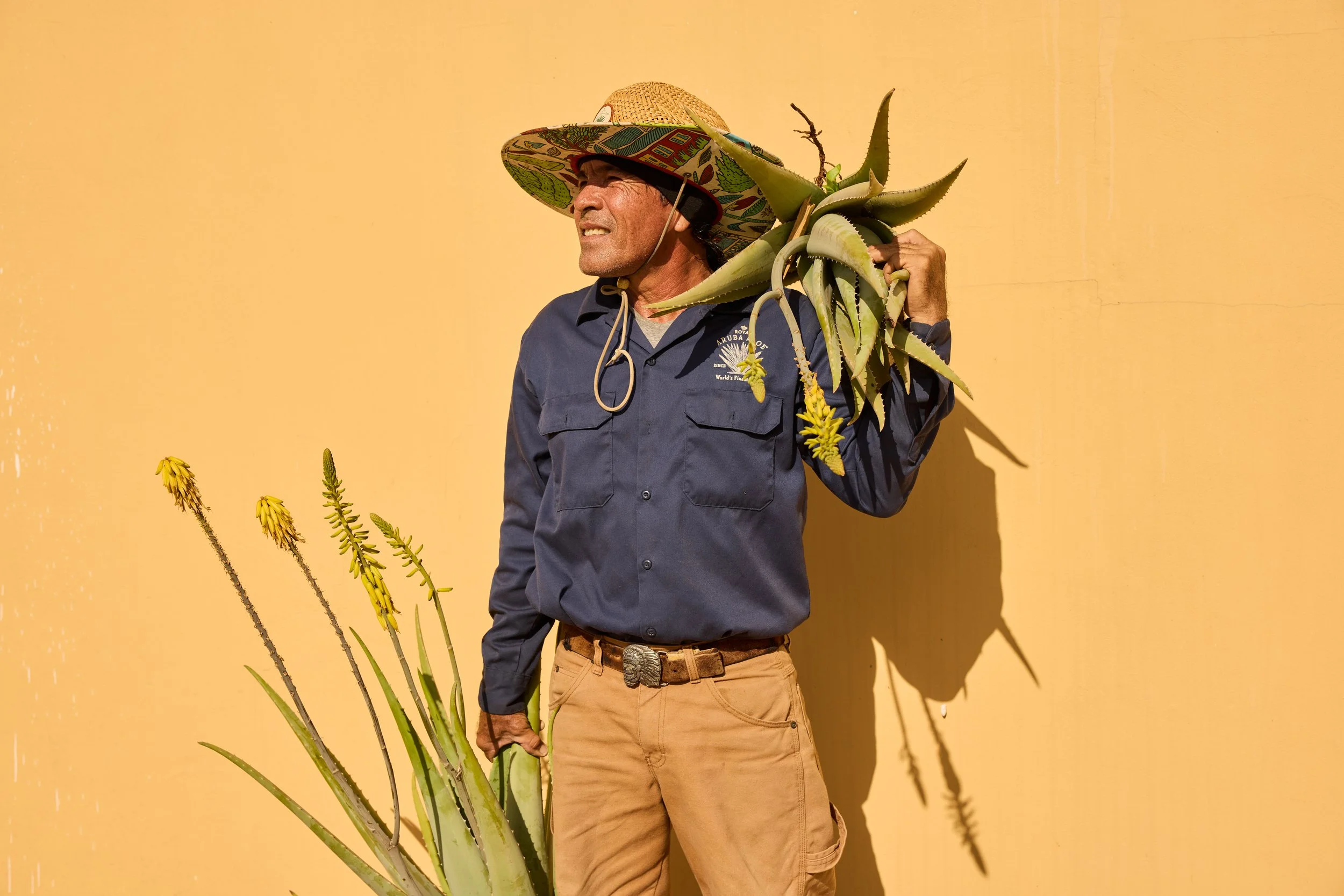 22_ALOEFARM_B_382.jpg