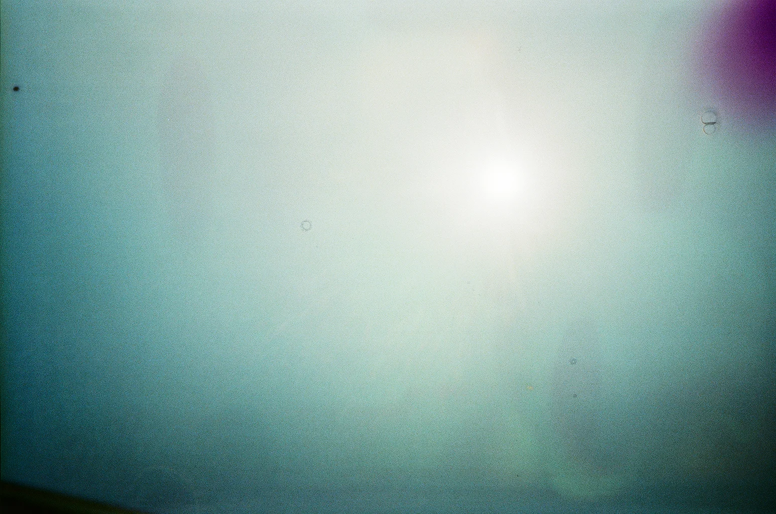 website7.jpg