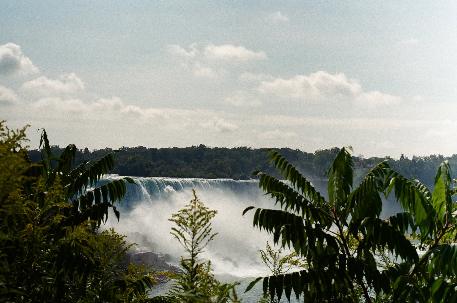 76130013.jpg