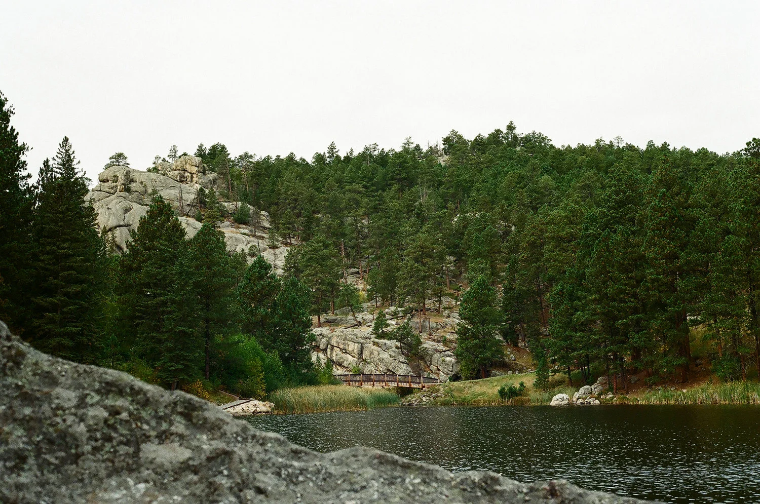 76150012.jpg