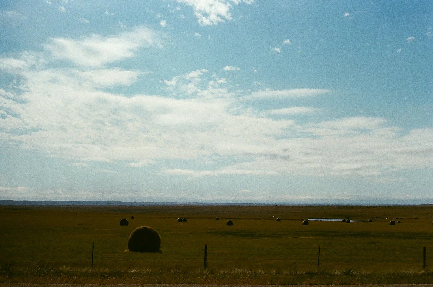 76150015.jpg