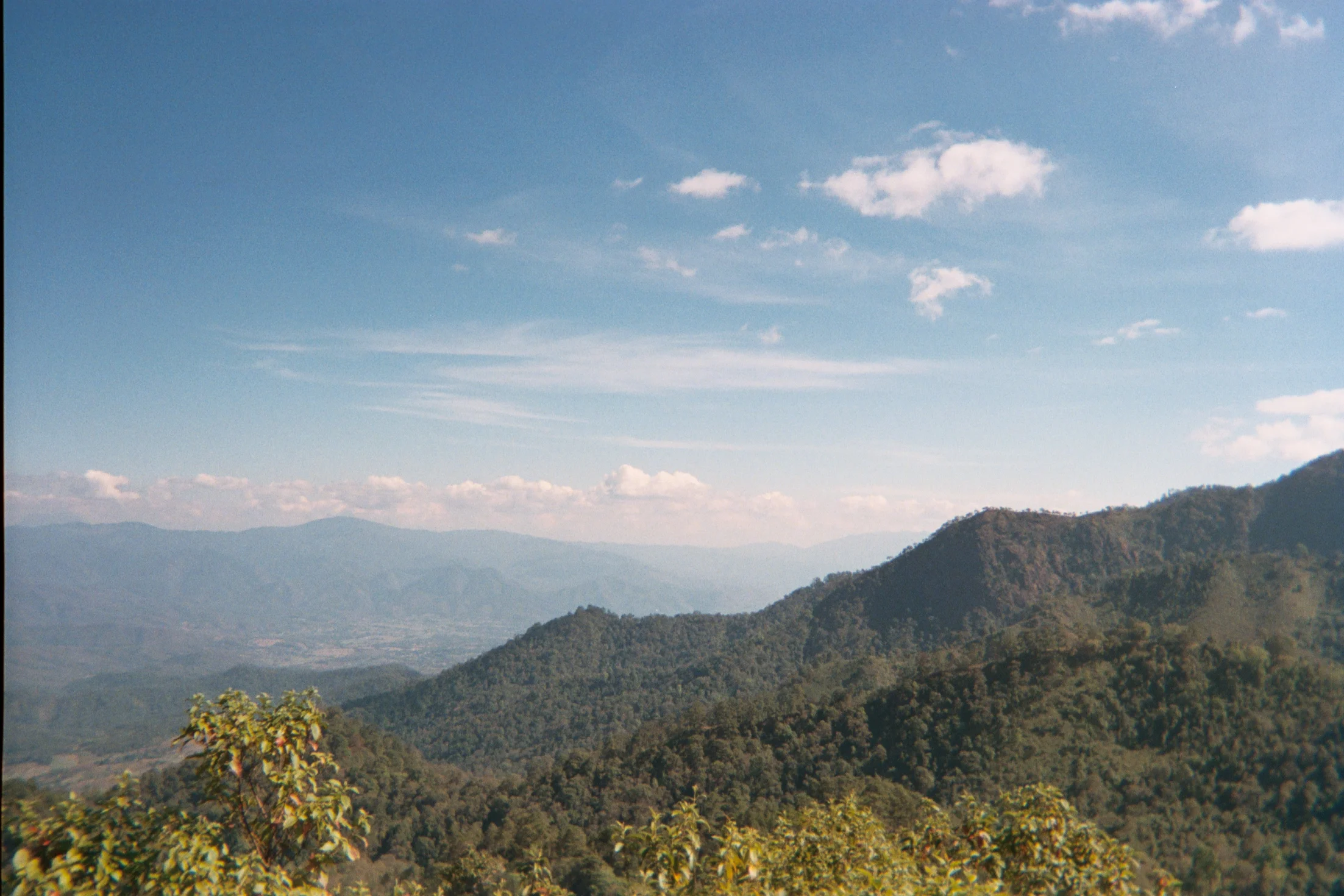 AA001A.jpg