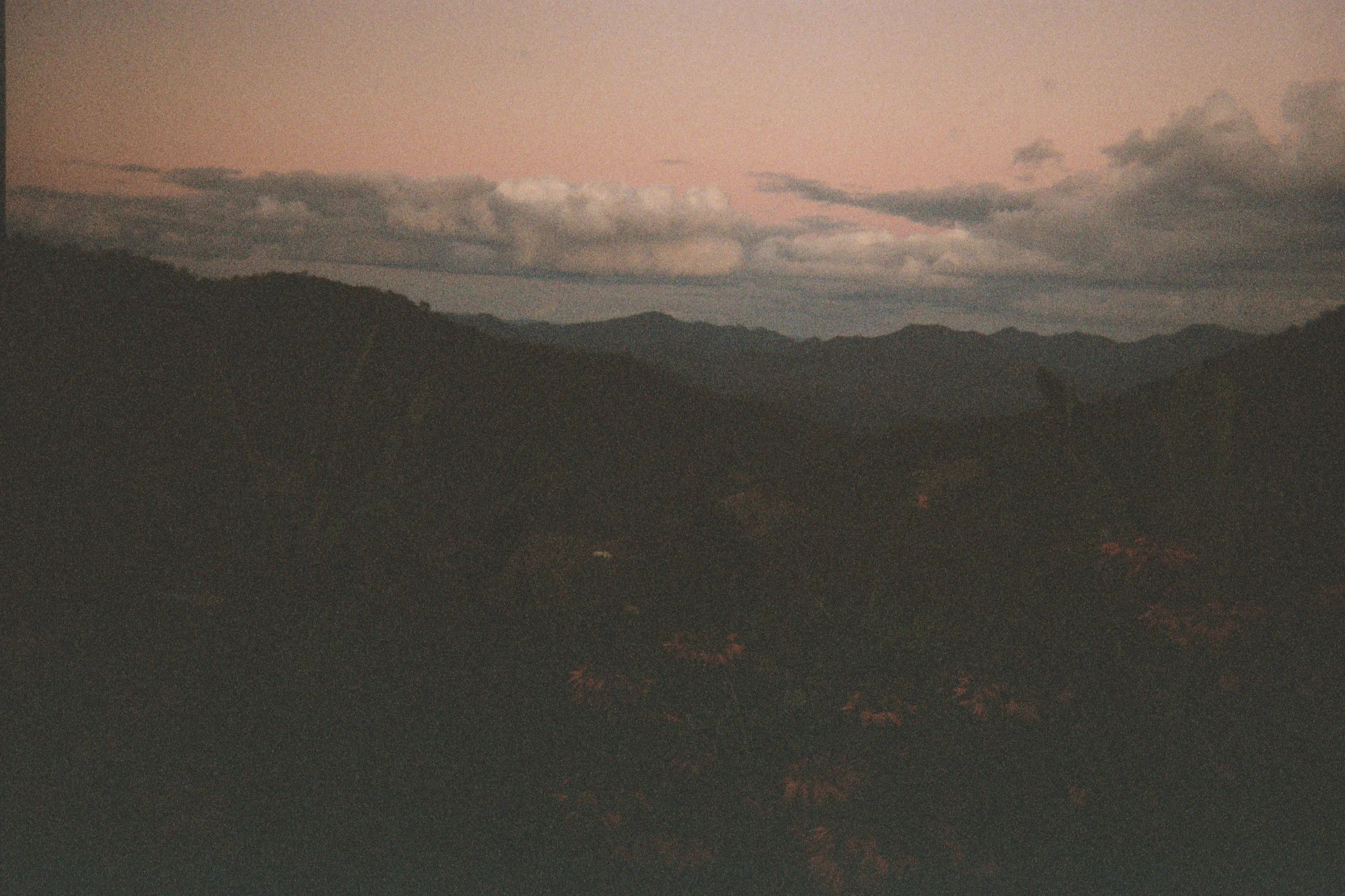 AA013A.jpg
