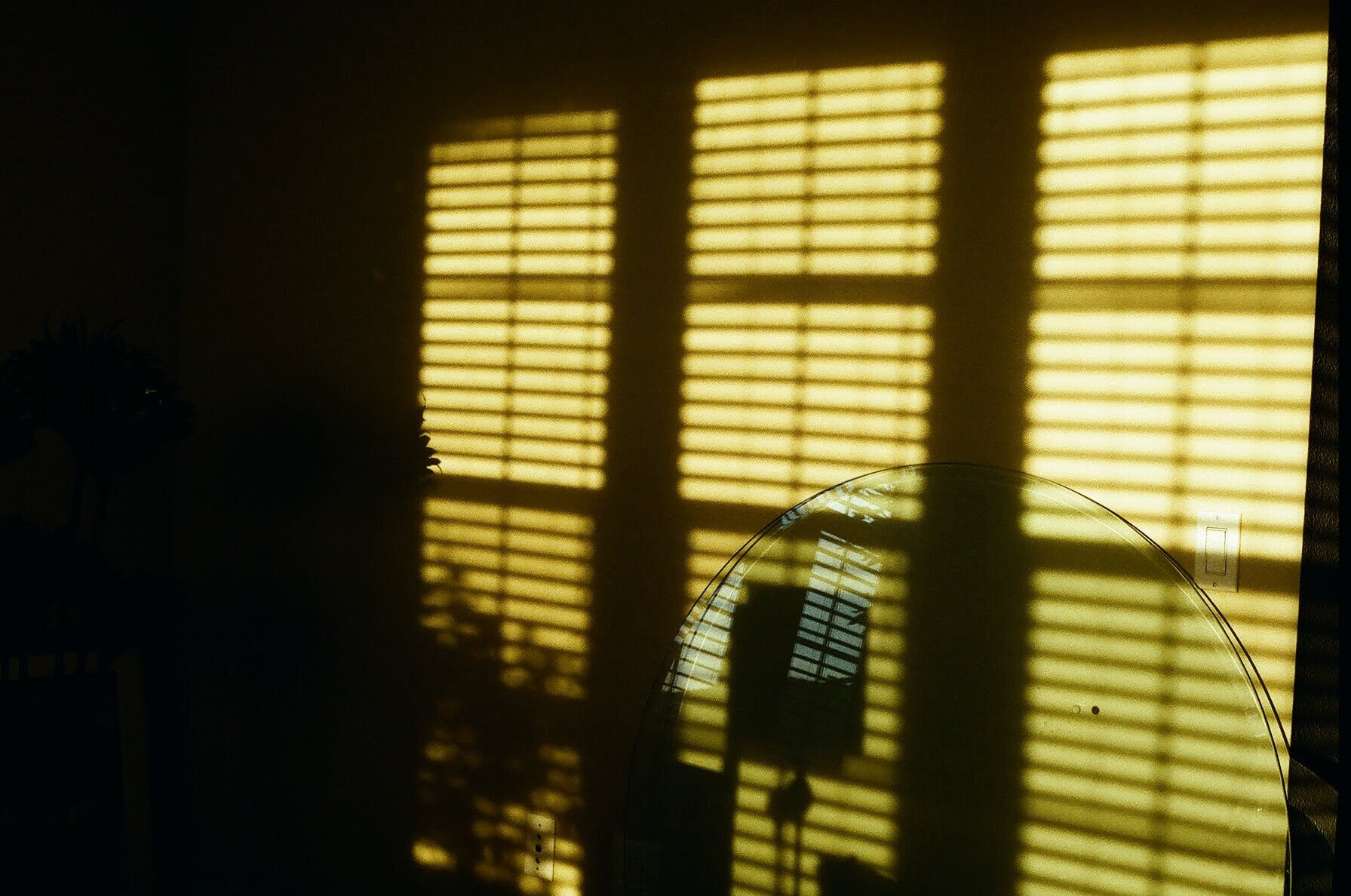 44200006.jpg