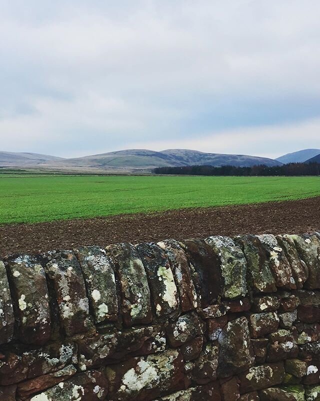 2020 country walk #1  #countrywalks #pentlandhills #pentland #scotlandtravel #familyvacation