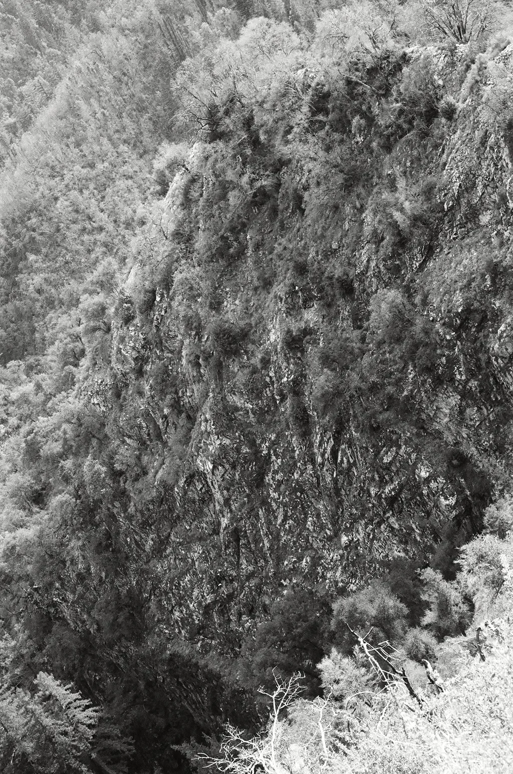 Big Sur, s ilver print, 2014 