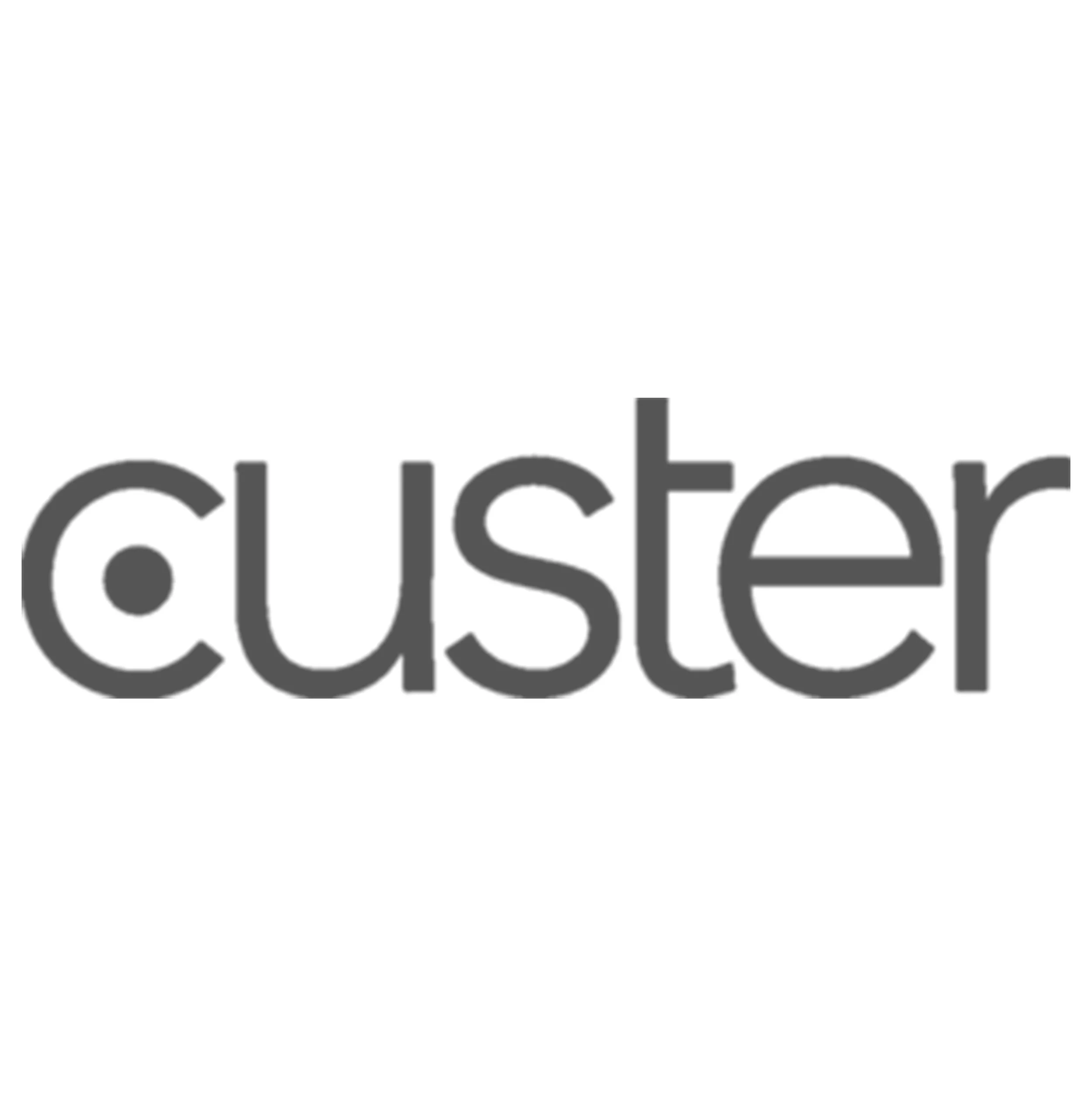 Custer_Gray.jpg