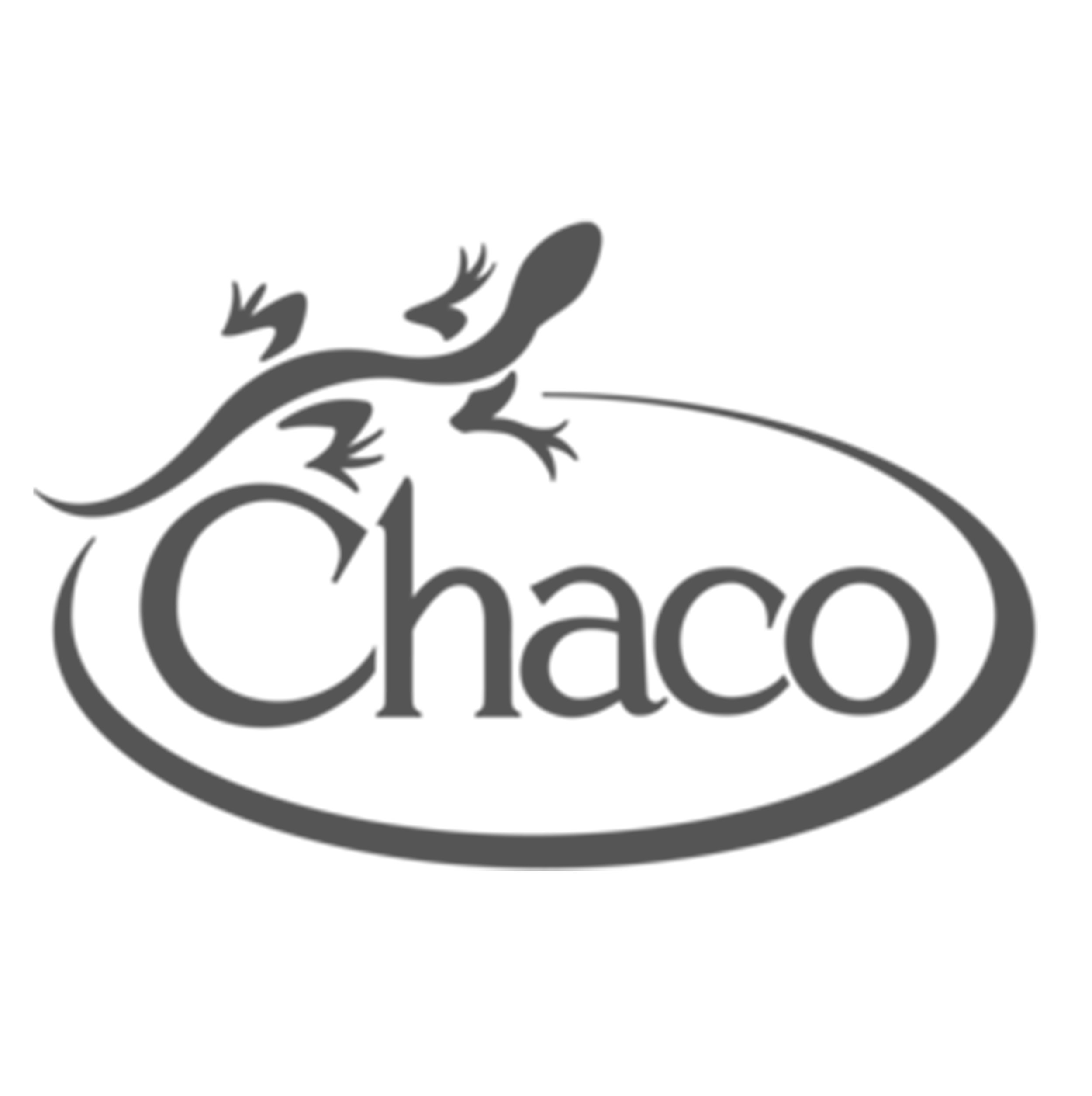 Chaco_Gray.jpg