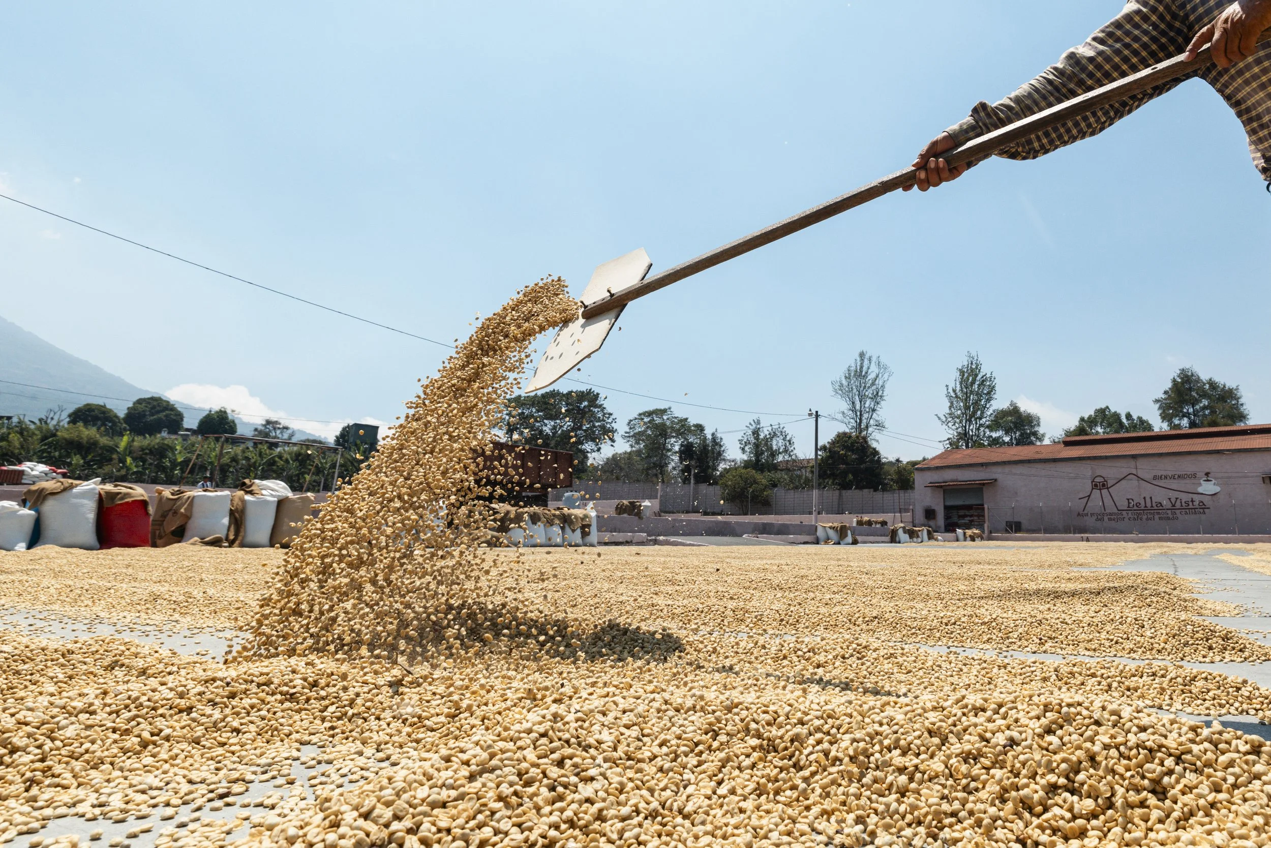 Madcap_Origin_272 9 2.jpg