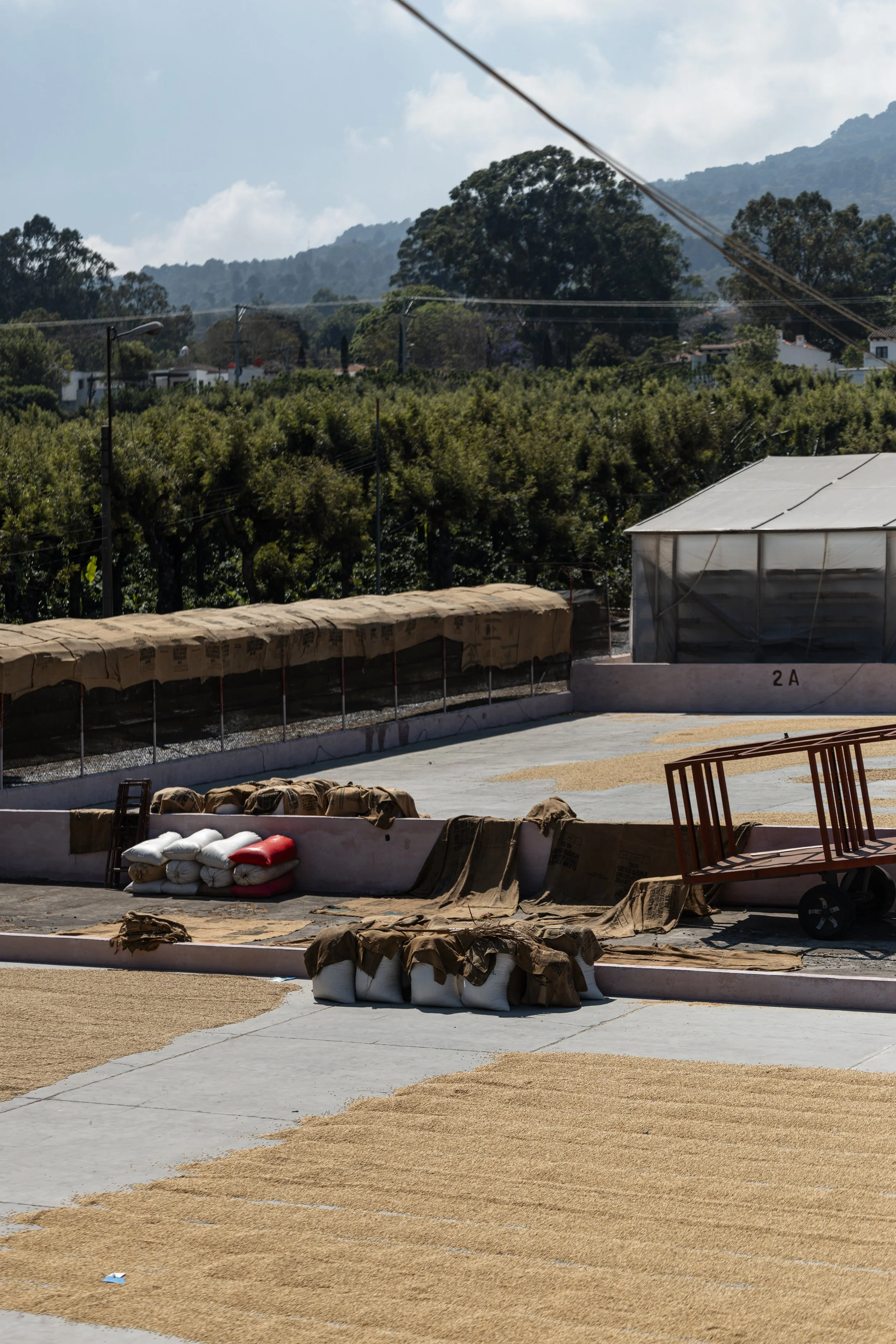 Madcap_Origin_234 5.jpg