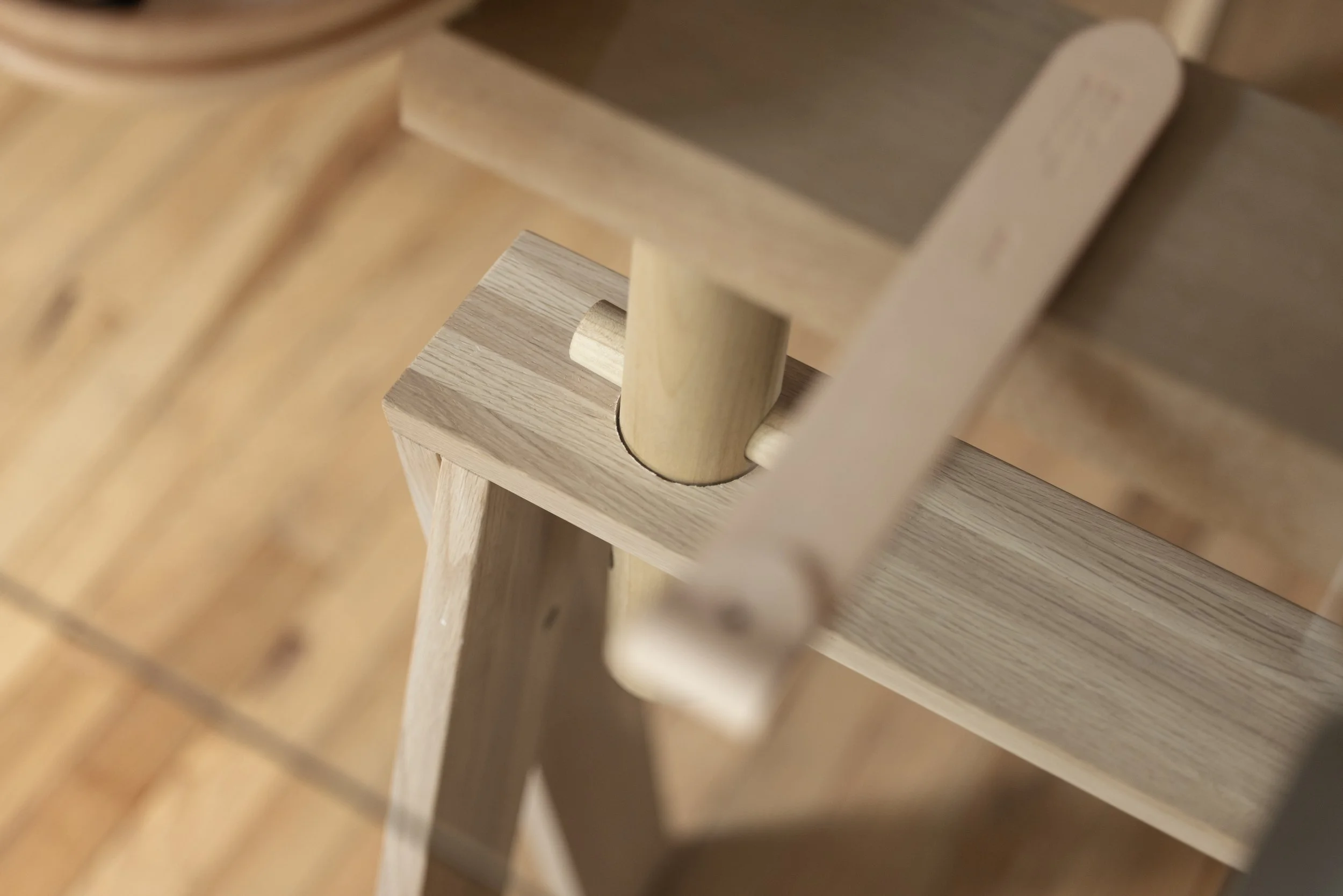 LichenXHakoTable V1_6.jpg