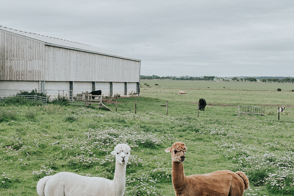 14photographers Barn On The Bay Wedding-6.jpg