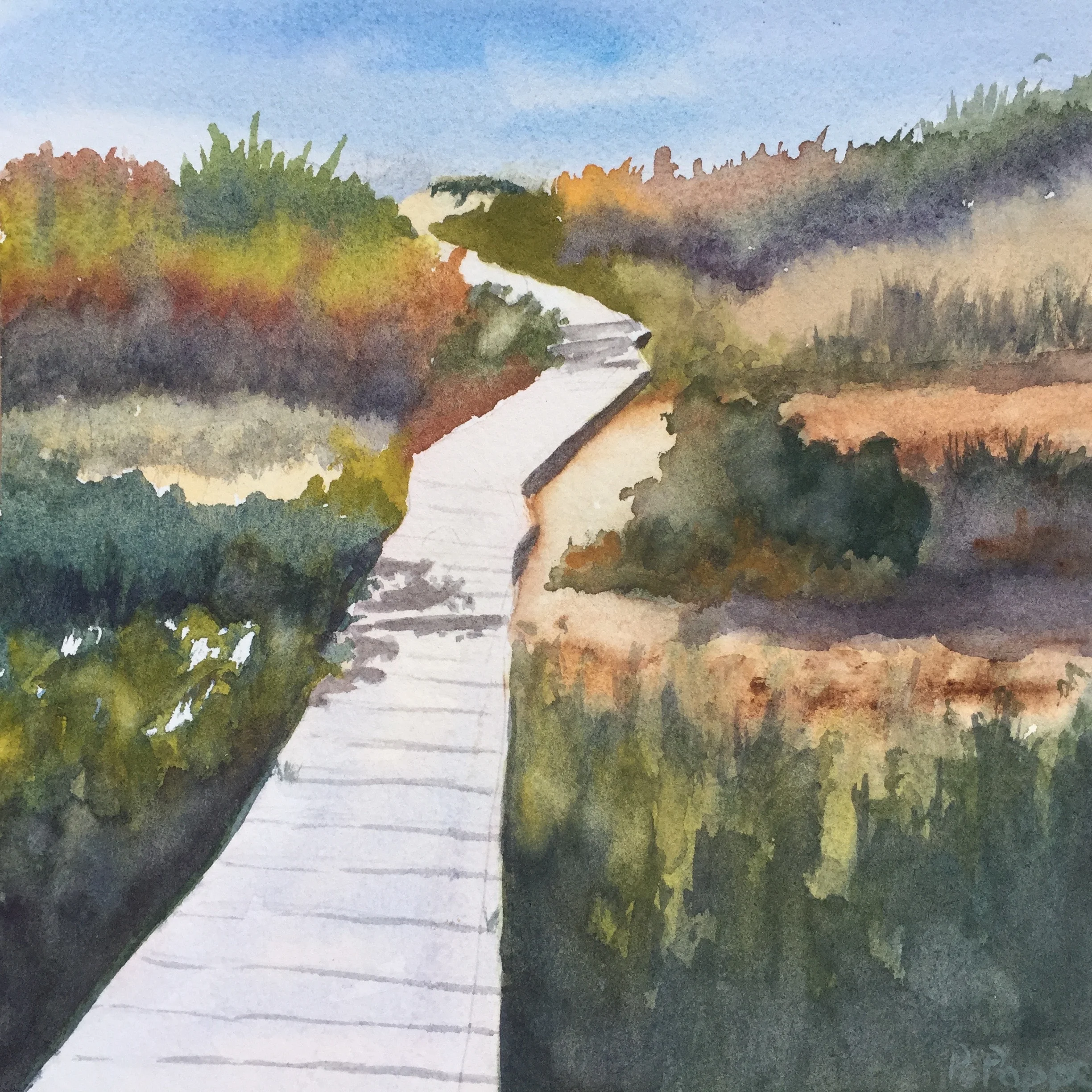Fall Walk to the Beach