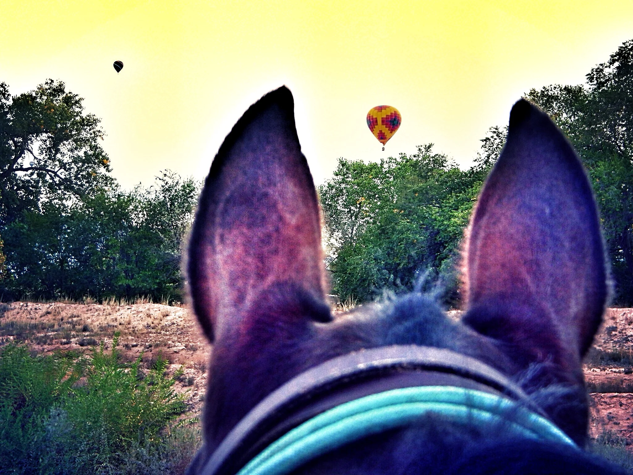Albuquerque International Balloon Fiesta