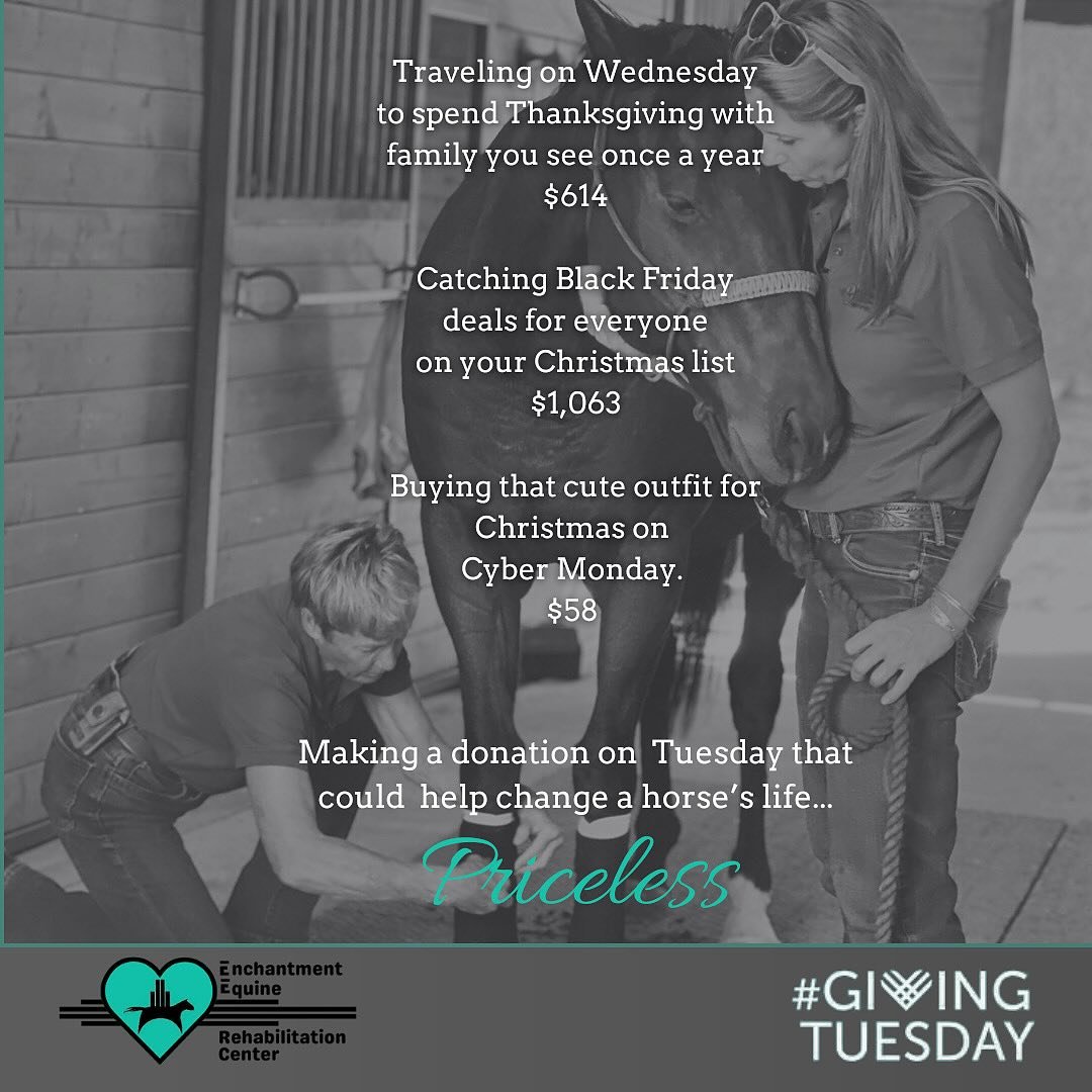 🌟 This #GivingTuesday, Change a Life 🌟

At Enchantment Equine Rehabilitation Center, every horse has a story&mdash;one of resilience, hope, and a second chance. Your support helps them provide life-saving care, rehabilitation, and the loving enviro