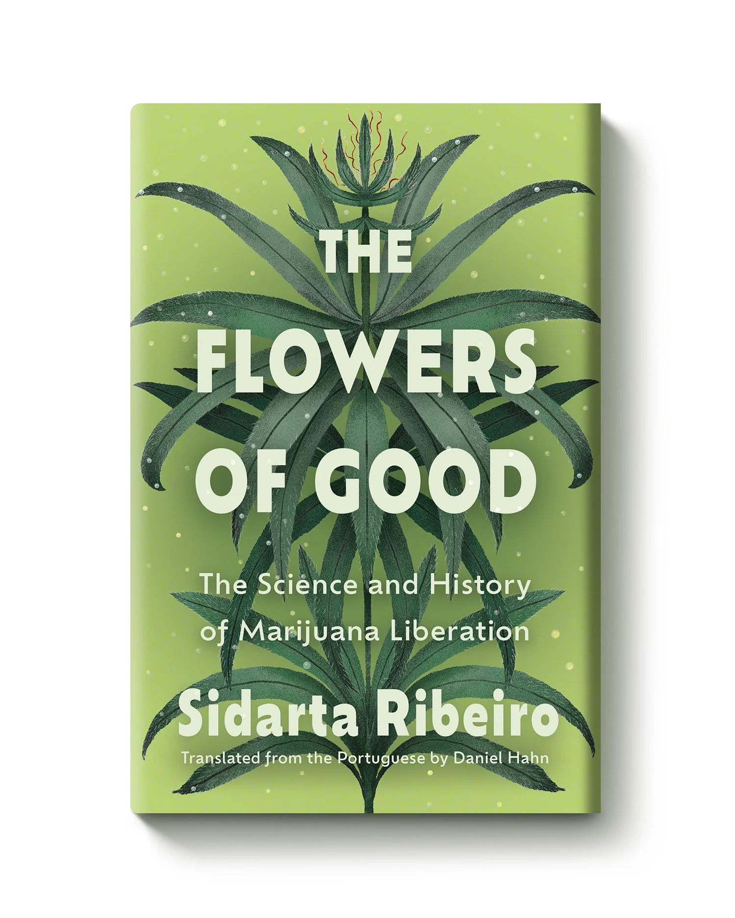 the flowers of good_website3.jpg