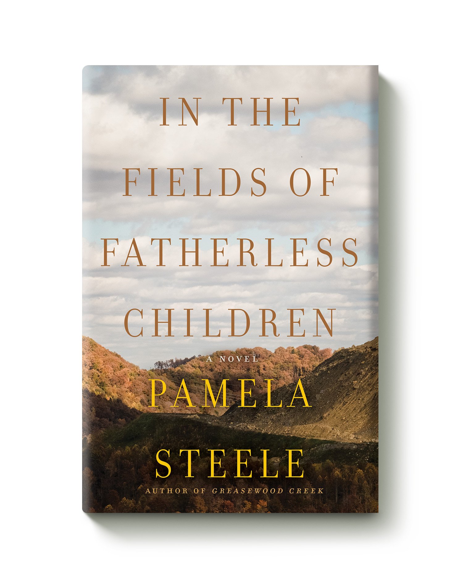 in the fields of fatherless children_Website.jpg