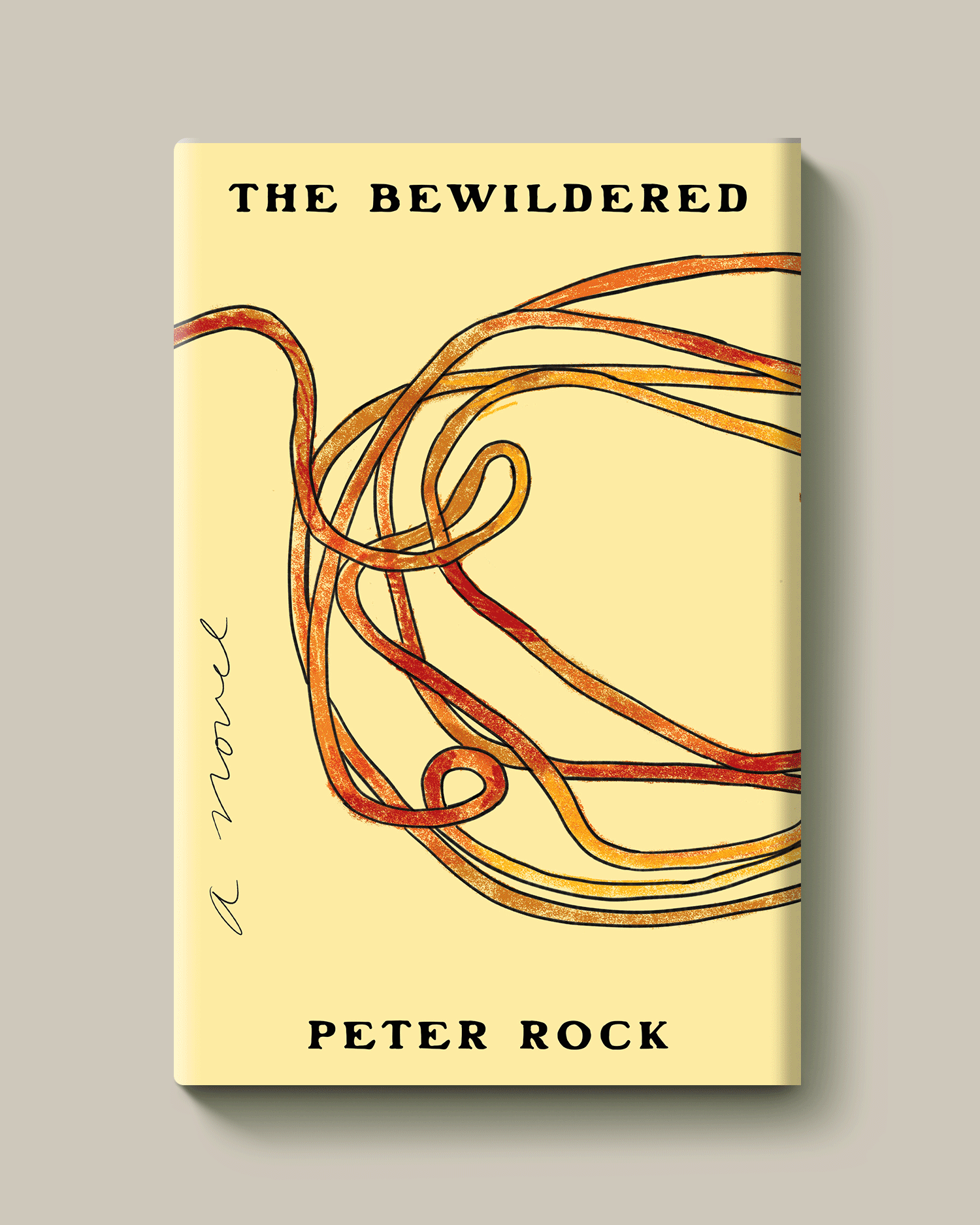 Peter Rock Reissues // Design + Illustration // Soft Skull Press