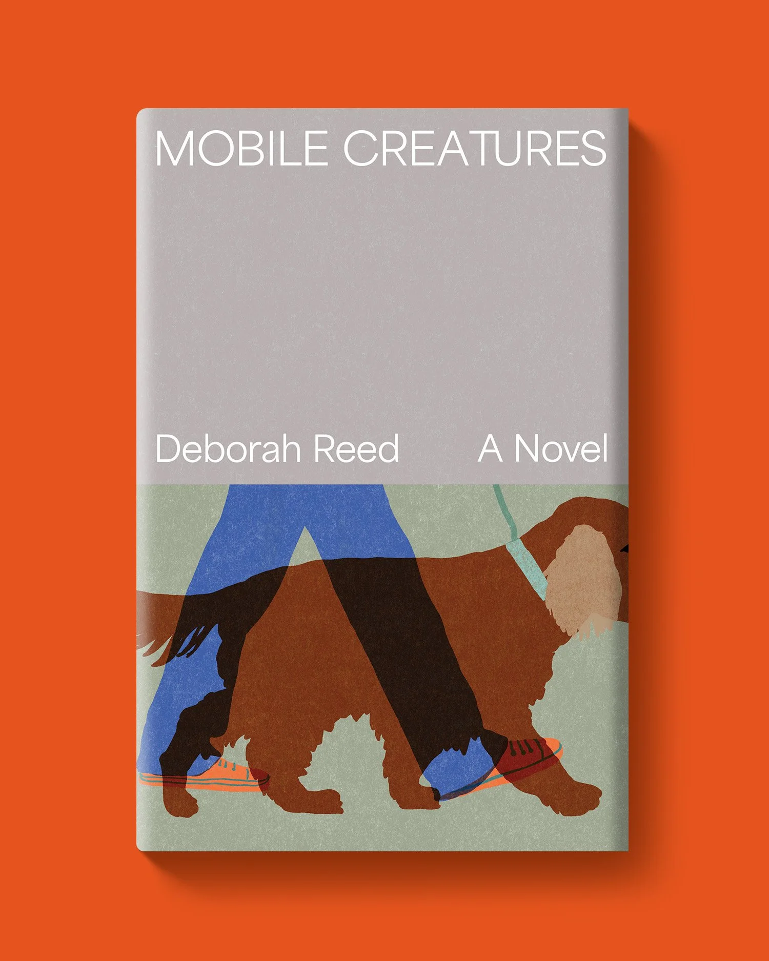 Design + Illustration // Hawthorne Books