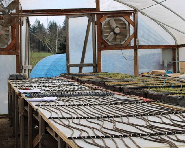 One of our updates over the winter was installing heated beds in our upper greenhouse. A part of the process made easier for locally grown, sustainable veggies year-round! Do you want to be a part of our farm community? Main season CSA sign-ups are c