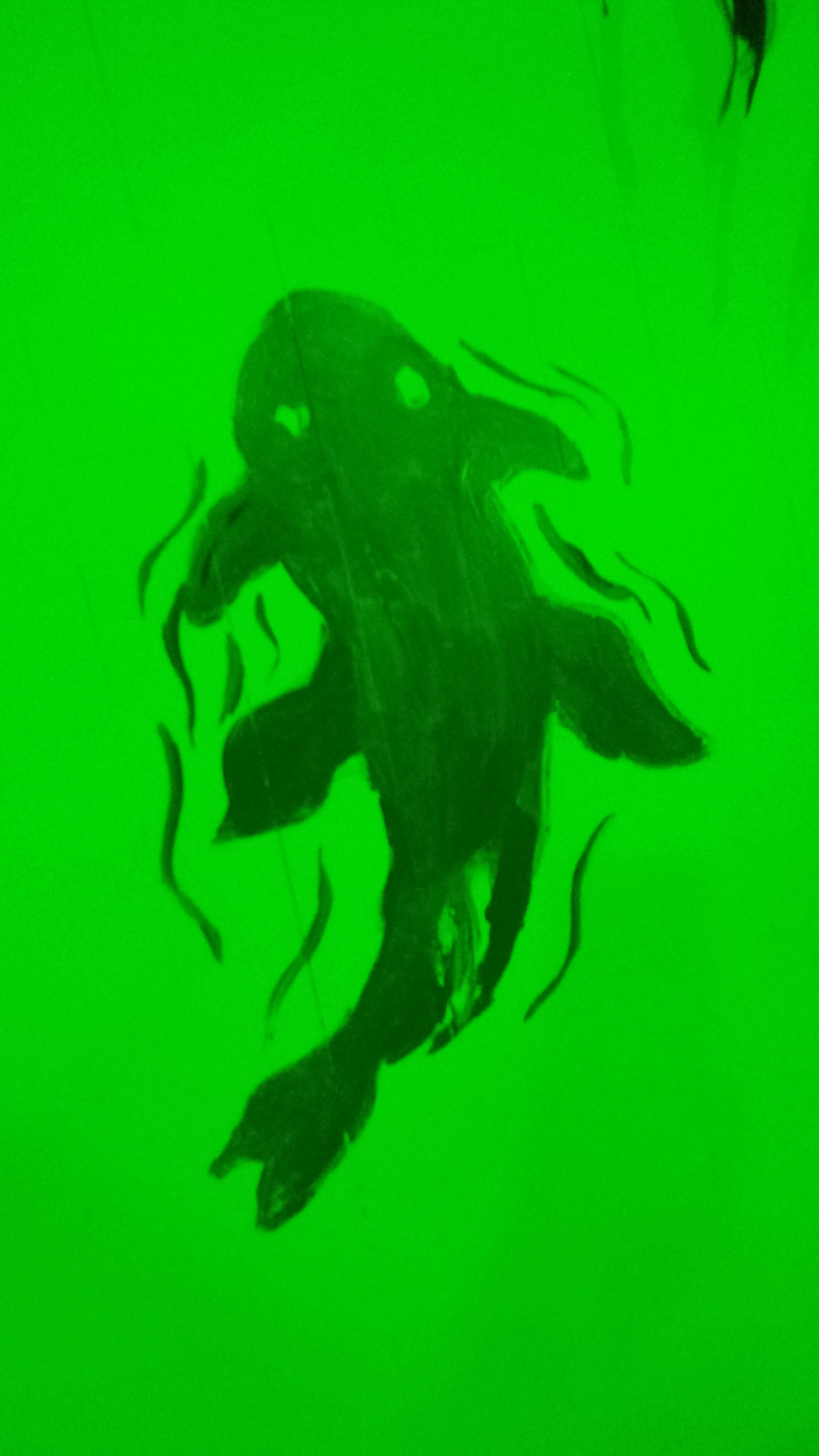 20140916_095326.jpg