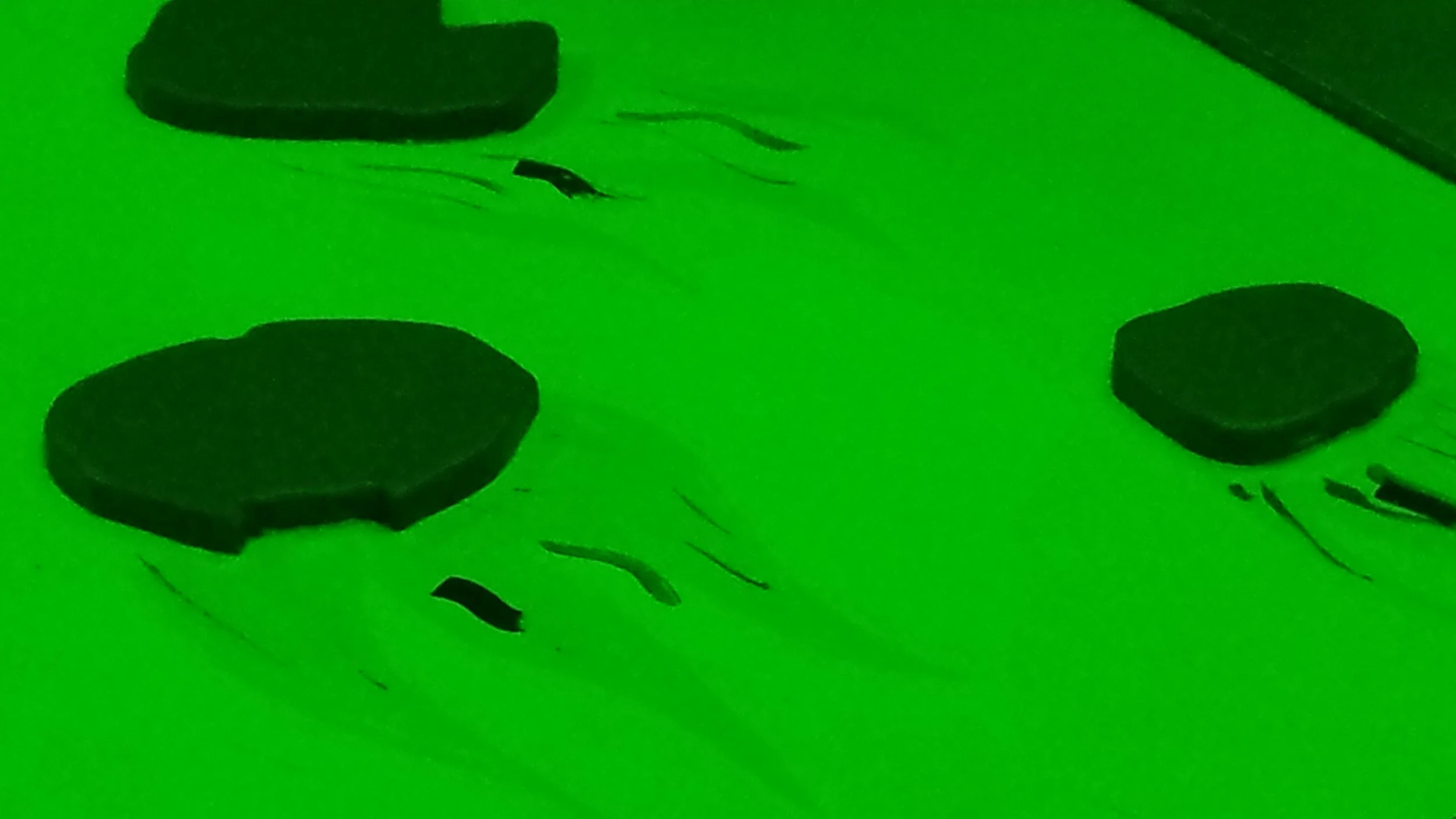 20140916_081432.jpg