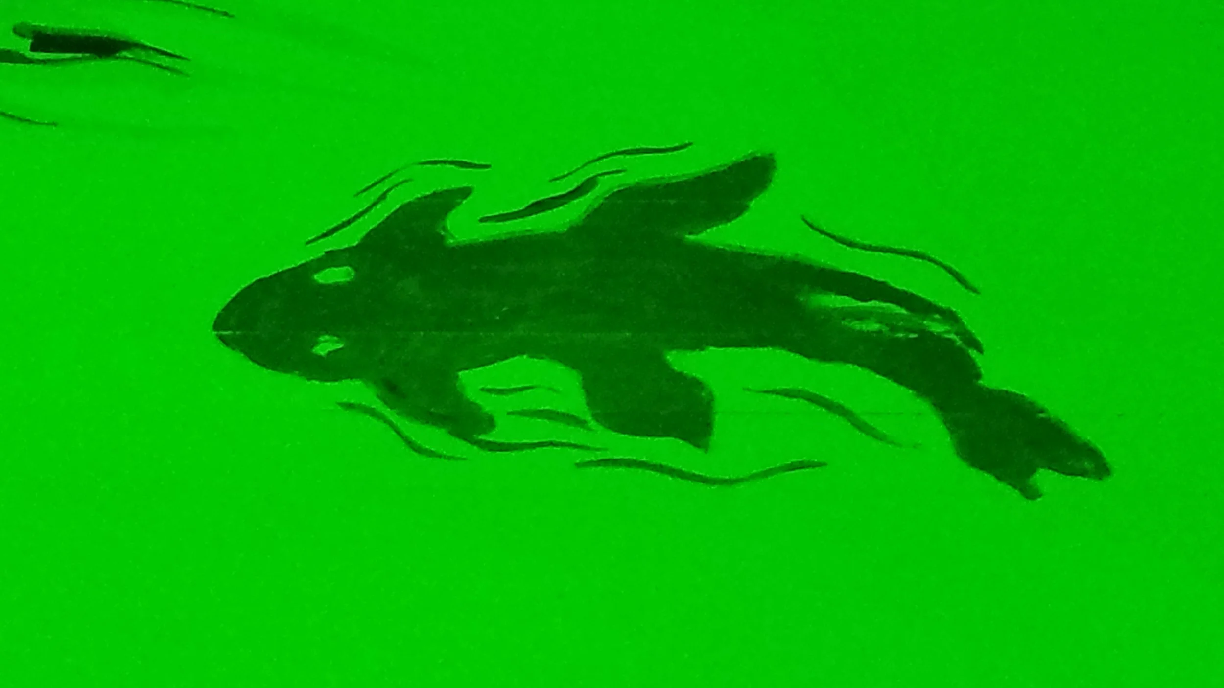 20140916_081404.jpg