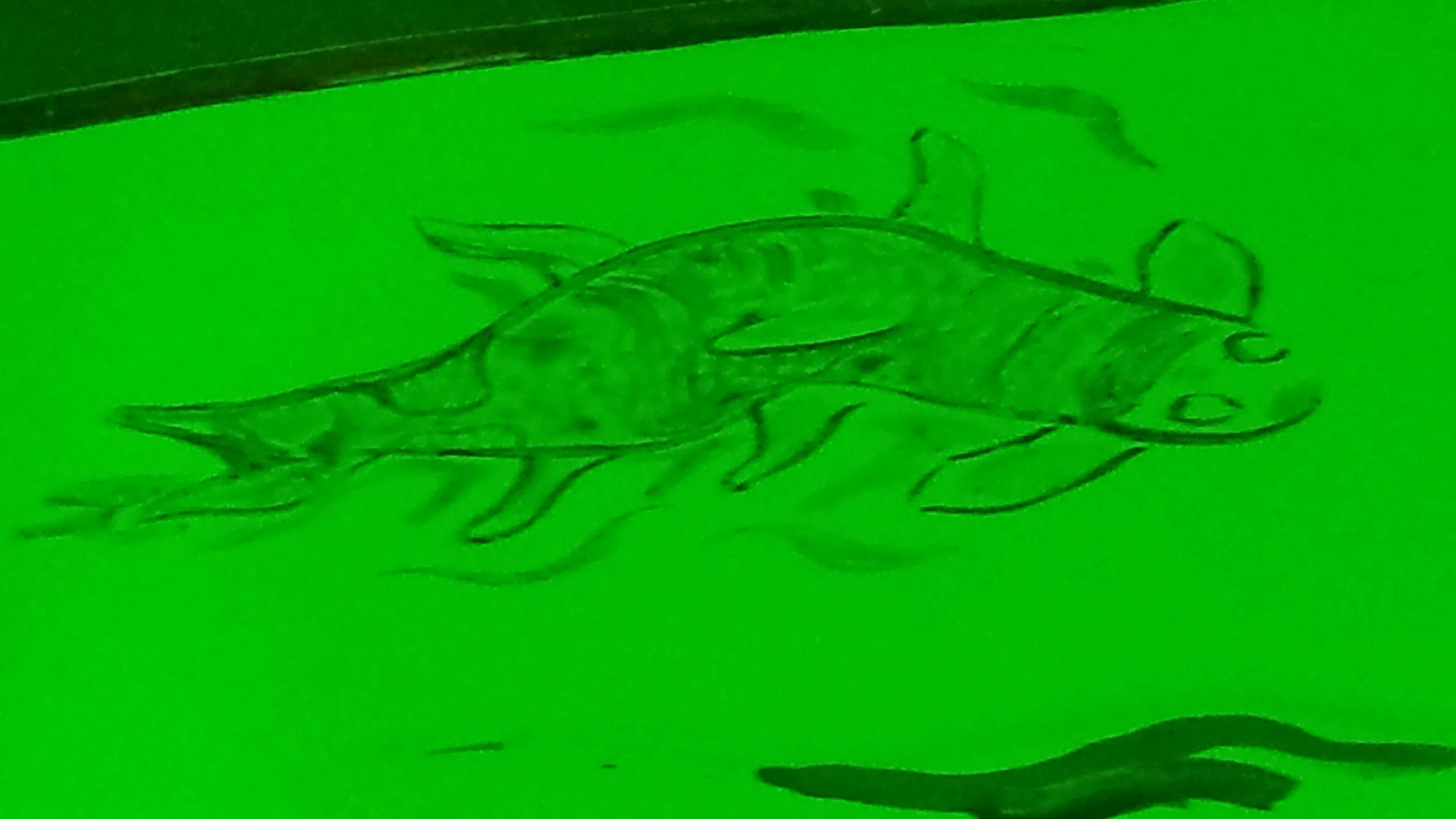 20140916_080358.jpg