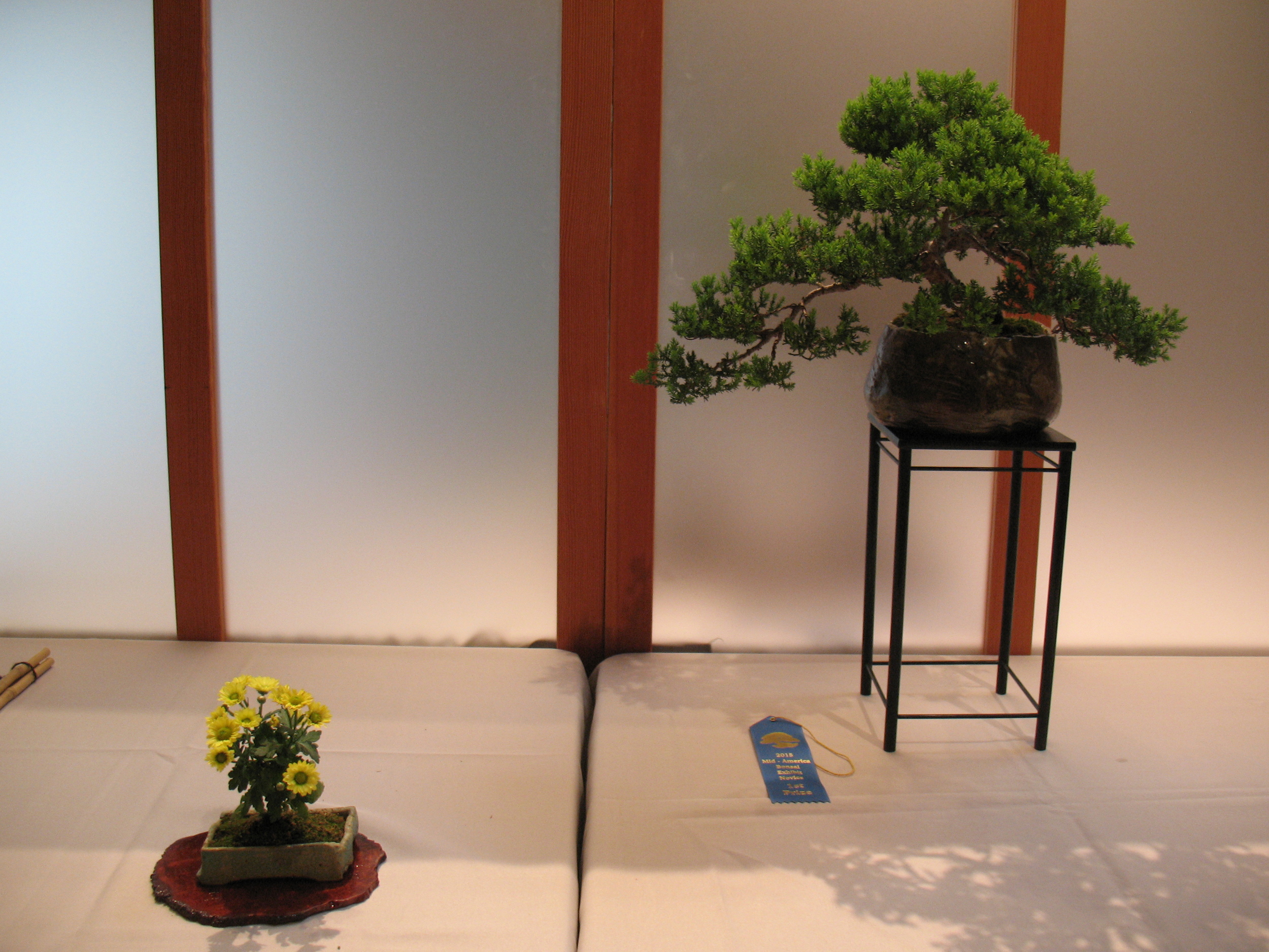 2015 Mid-America Exhibit - Japanese Garden Juniper