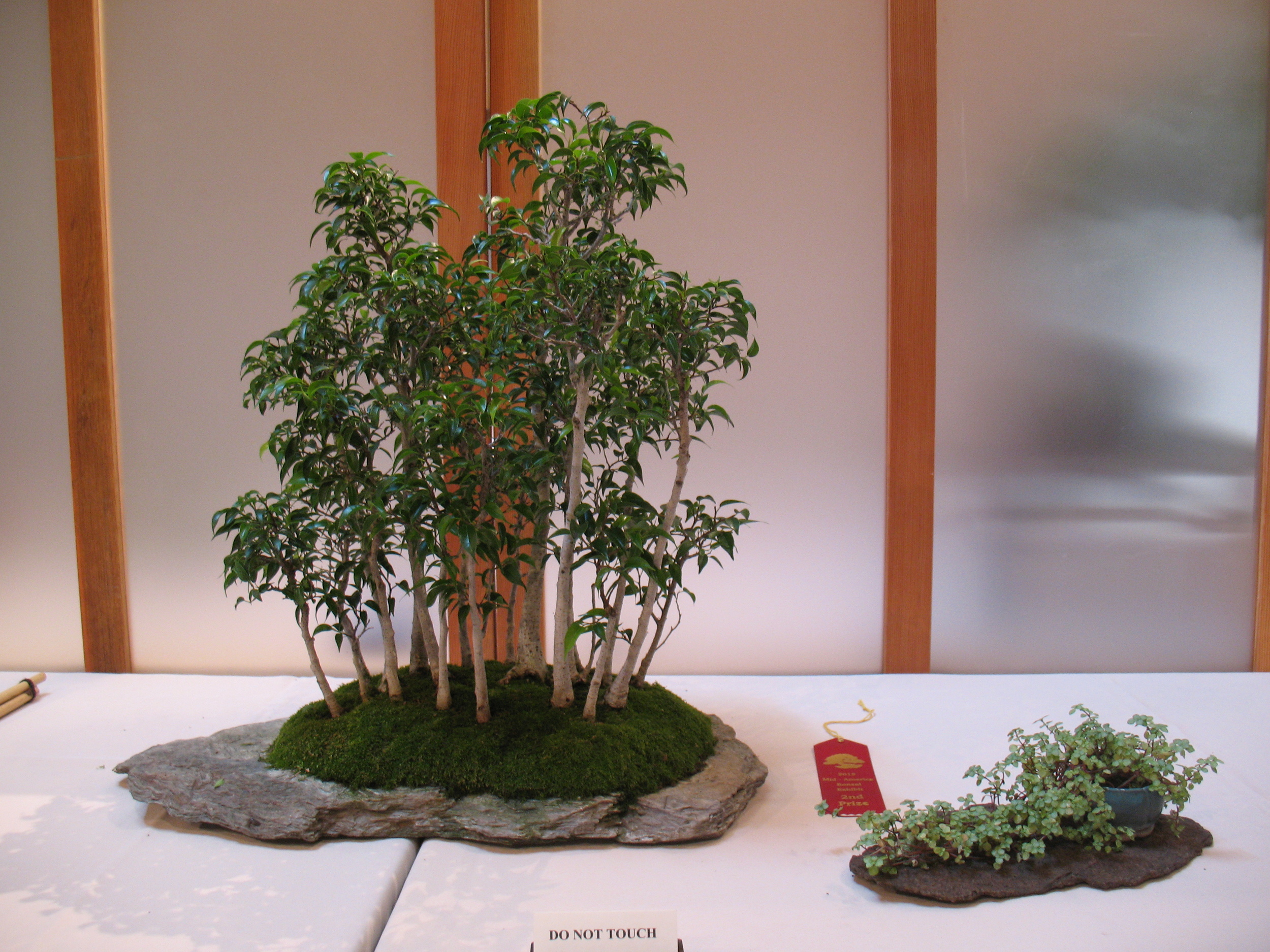 2015 Mid-America Exhibit - Open - Midnight Fig