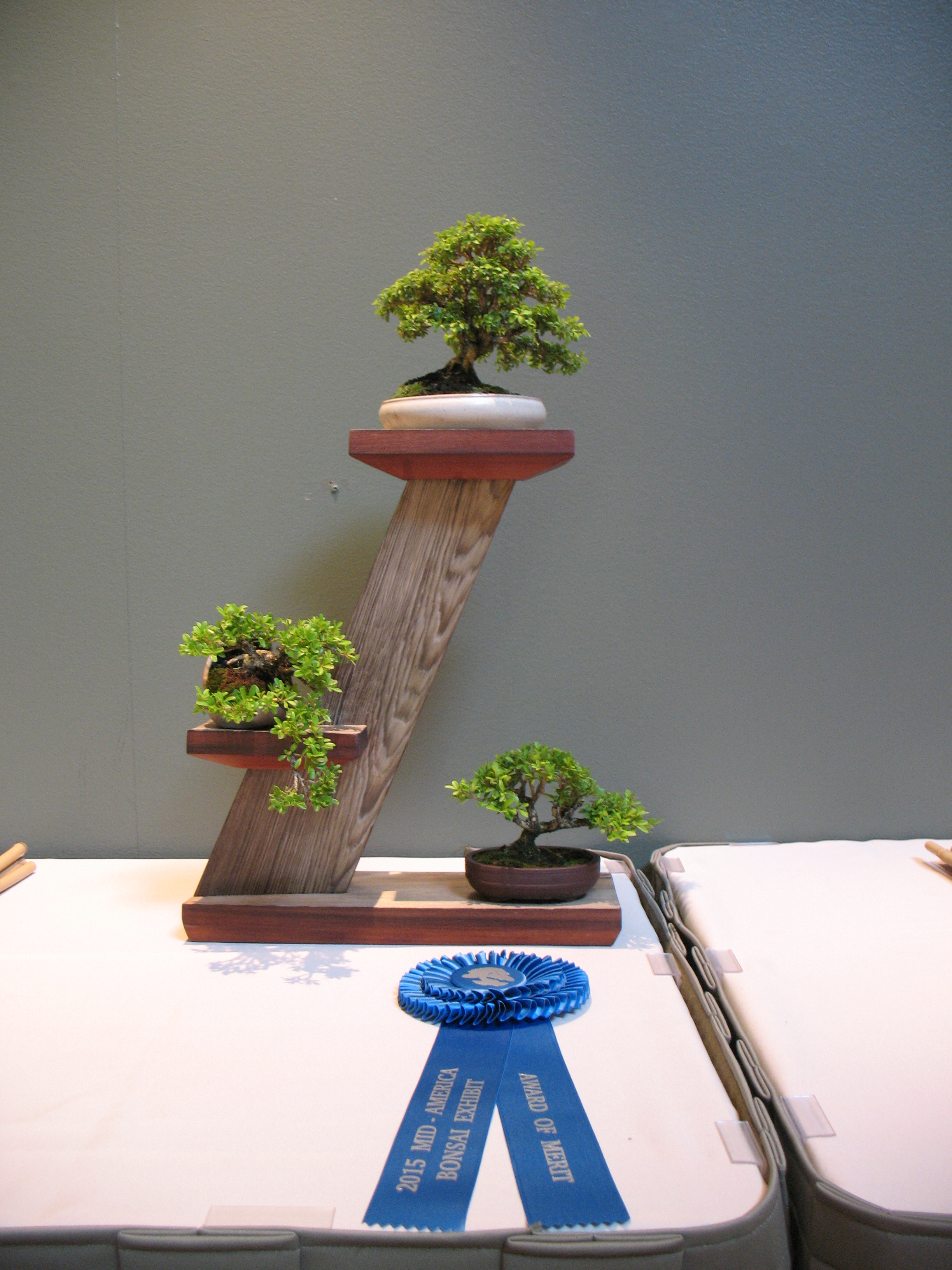 2015 Mid-America Exhibit - Open - Boxwood