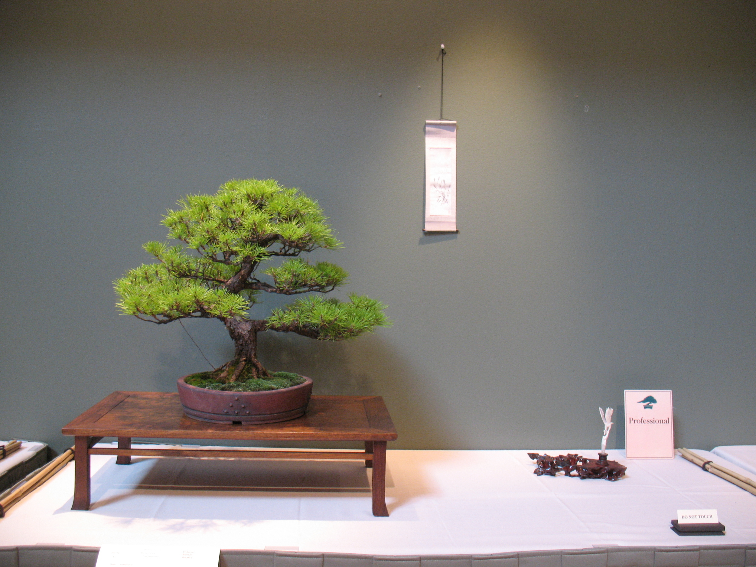 2015 Mid-America Exhibit - Professional - Banshosho Japanese Pine