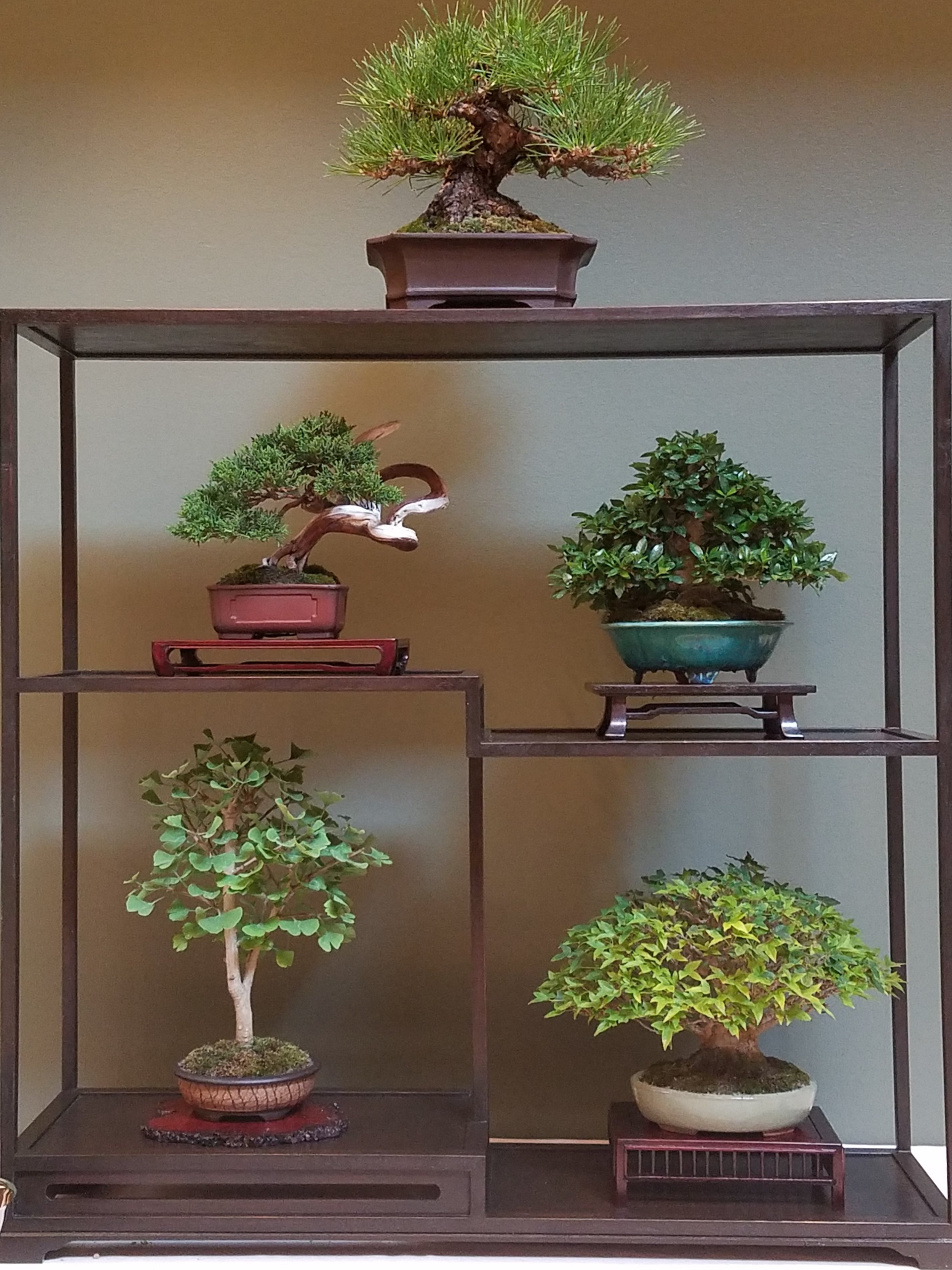 2017 Mid-America Bonsai Exhibition - Shohin Composition