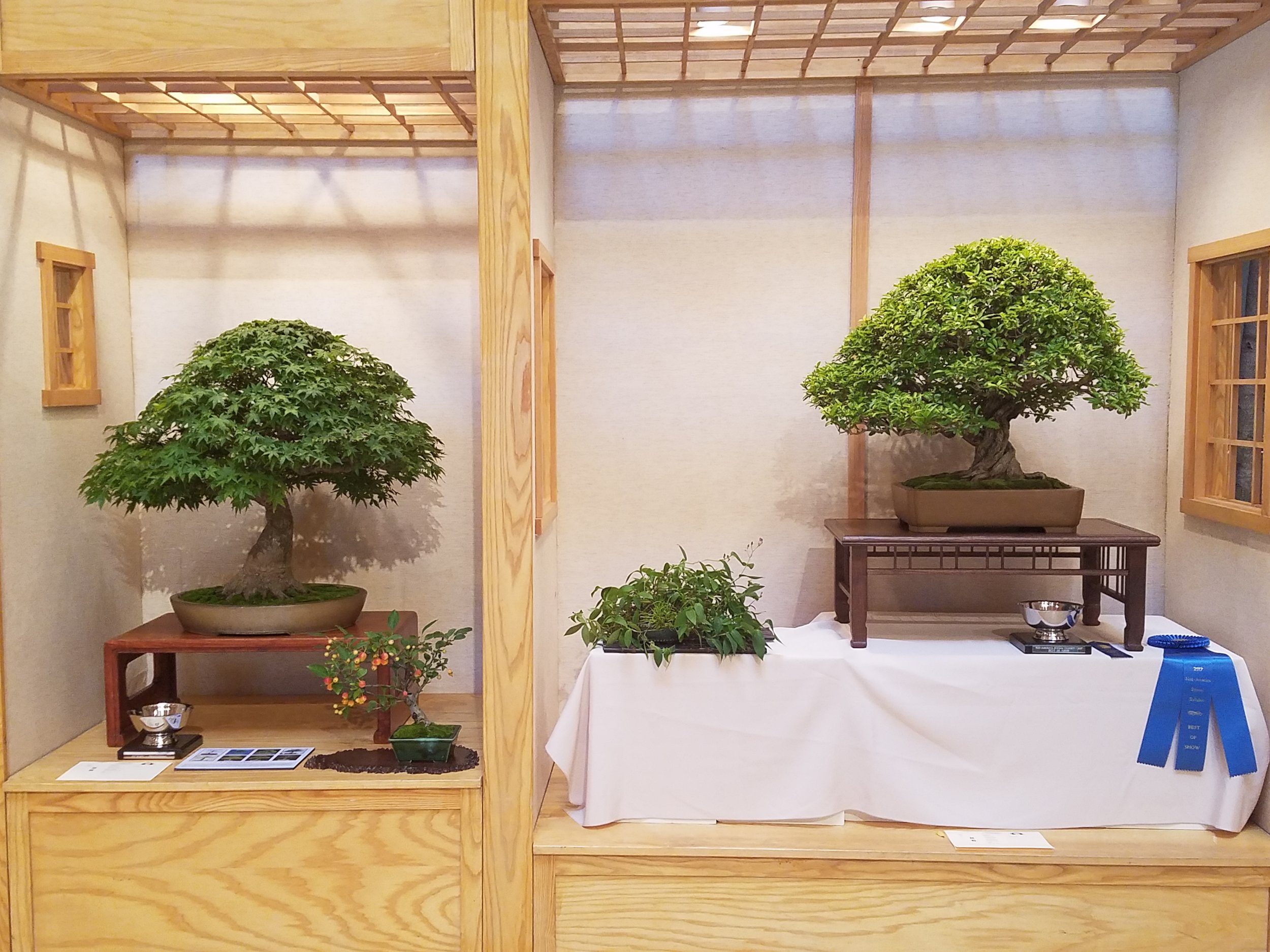 2017 Mid-America Bonsai Exhibition - First Place Professional and Best of Show Trees in Tokonoma