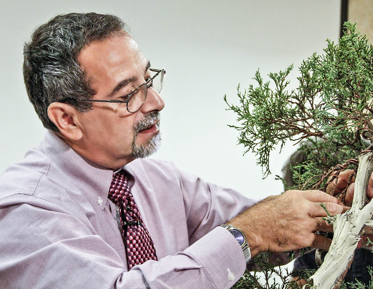 42nd Annual Mid-America Bonsai Exhibition Five Days Away!