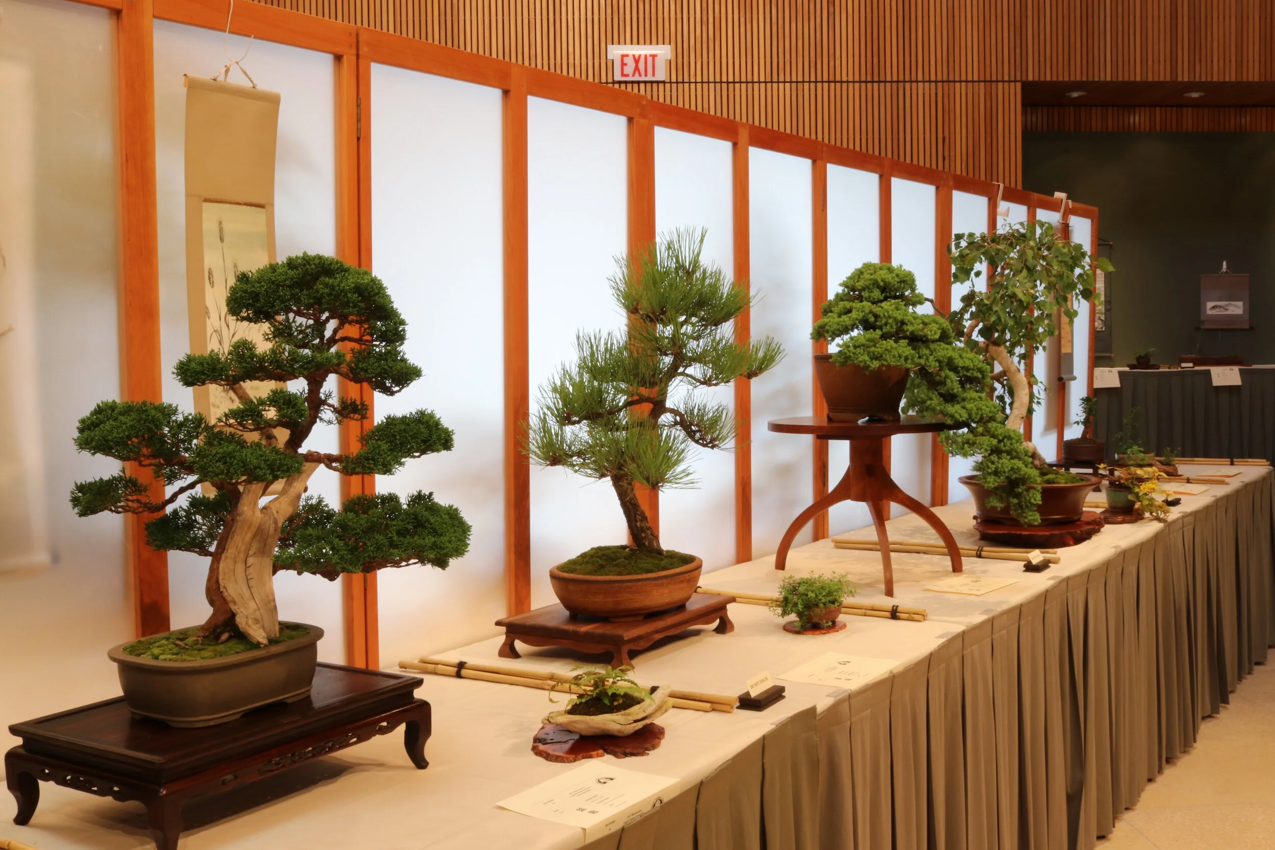 CONFIRMED! The 43rd Annual Mid-America Bonsai Exhibit - August 20-22